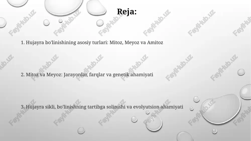 r tasodifiy ravishda qutblarga ajraladi, bu esa har bir gametda xromosomalarning turli xil kombinatsiyalariga olib keladi va 2^23 ta variant hosil bo'lishi mumkin. mitoz va meyozning farqlari mitoz bir hujayradan ikkita genetik jihatdan bir xil diploid (2n) hujayrani hosil qiladi, meyoz esa bir hujayradan to'rtta genetik jihatdan farqli haploid (n) hujayrani hosil qiladi. mitoz hujayralar o'sishi va tiklanishi uchun sodir bo'ladi, meyoz esa jinsiy ko'payish orqali genetik xilma-xillikni ta'minlovchi gametalar (sperma va tuxum) hosil bo'lishi uchun sodir bo'ladi. mitozda homolog xromosomalar juftlashmaydi va genetik rekombinatsiya (crossing over) sodir bo'lmaydi, meyozda esa homolog xromosomalar juftlashadi va genetik rekombinatsiya sodir bo'ladi, bu esa genetik xilma-xillikka olib keladi. amitoz: tavsifi va ahamiyati amitoz ko'pincha metabolik faoliyati yuqori bo'lgan hujayralarda, masalan, homiladorlik paytida yo'ldosh hujayralarida yoki ba'zi bir protozoyalarda kuzatiladi va tez ko'payish imkonini beradi. amitoz - bu hujayra bo'linishining to'g'ridan-to'g'ri usuli bo'lib, yadroning bo'linishi xromosomalar kondensatsiyasi va mitotik urchuq shakllanishisiz sodir bo'ladi. amitoz …