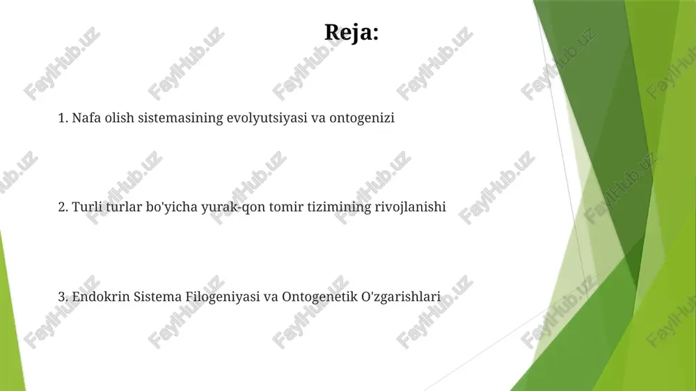 ari), tarmoqlanuvchi morfogenez, sirt faol modda ishlab chiqarish (24 hafta), alveolalar hosil boʻlishi (36 hafta) va gaz almashinuvi uchun muhim boʻlgan qon tomirlanish jarayonlarini oʻz ichiga oladi endokrin tizim ta'siri: tiroksin (t3, t4) o'pka yetukligi, sirfaktant hosil bo'lishi va alveolalar rivojlanishi uchun muhim. glikokortikoidlar tug'ilishdan oldin o'pka yetukligini rag'batlantiradi taqqoslash kardiologiya tizimlari e'tiboringiz uchun rahmat @taqdimot_robot image1.jpg image2.jpg image3.jpg image4.jpg image5.jpg image6.jpg image7.jpg