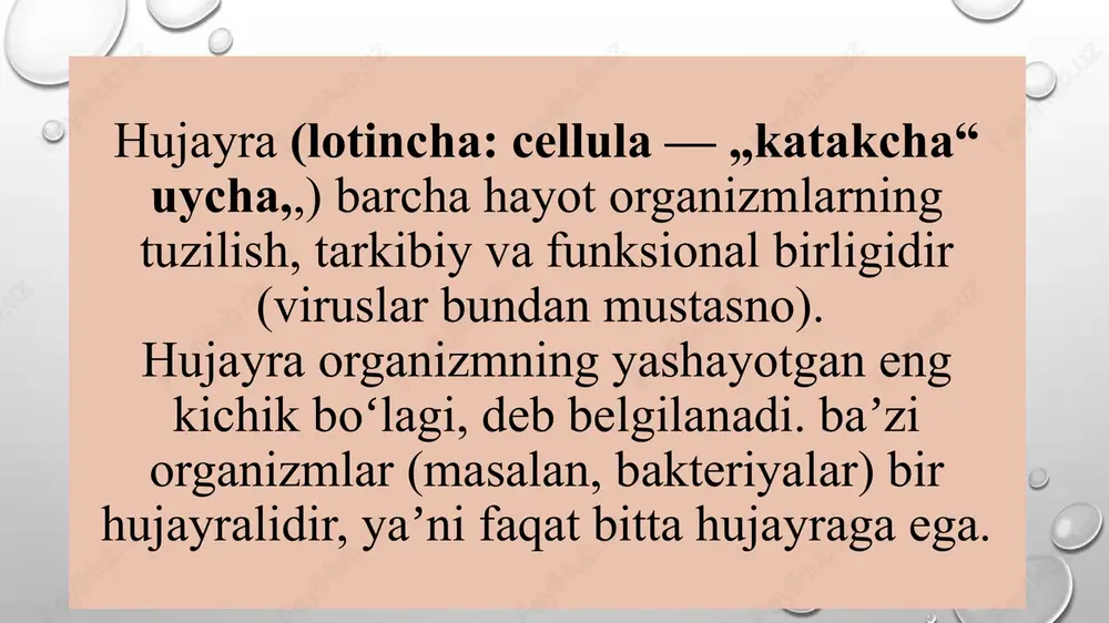 bo’lgan; lekin tayyor oziq bilan oziqlanadigan koloniya bo’lib yashovchi hayvonlardan kelib chiqqan. dastlabki, ko’p hujayralilar tanasi ikki qavat hujayralardan iborat bo’lgan. keyinchalik hujayralar har xil vazifalarni bajarishga moslasha borishi bilan ularning tuzilishidan ham farq paydo bo’lgan. tashqi qavat hujayralari harakatlanish va oziqni ushlashga, ichki qavat esa oziqni hazm qilishga ixtisoslashgan. shu yo’l bilan bo’shliqichilar paydo bo’lgan. bo’shliqichilar endotermasida xivchinli hujayralarning bo’lishi ularning koloniya bo’lib yashovchi xivchinlilardan kelib chiqqanligiga dalil bo’ladi. yuksak ko’p hujayralilarning kelib chiqishi. hayvonot dunyosining bundan keying taraqqiyoti uch qavatli hayvonlarning paydo bo’lishi bilan bog’liq. dastlab uch qavatli hayvonlar hozirgi sodda tuzilgan kiprikli chuvalchanglarga o’xshash bo’lgan. evolutsiya davomida hujayralar tobora ixtisoslasha borishi natijasida to’qimalar kelib chiqqan. muskul to’qimasi paydo bo’lishi harakatlanishning murakkablashuviga, nerv to’qimasi sezgi organlari va reflekslarning rivojlanishiga olib kelgan. 2. hujayraning ko’payishi. barcha organizmlarning ikkiga bo’linishi kurtaklanish, spora hosil qilish, shizogoniya va vegetativ organlarning ko’payishi tufayli amalga oshadi. botanika va zoologiyadan bir hujayrali suv o’tlari, xlorella, …