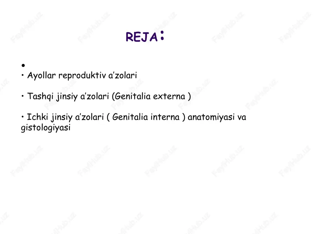 bilan aynan ginekologiya shug'ullanadi. female genital organs ayollar reproduktiv a'zolari(organa genitalia feminina) tashqi va ichkiga bo'linadi genitalia externa et interna i. tashqi jinsiy a’zolar a. mons pubis (qov do’ngligi) b. labia majora pudendi (katta jinsiy lablar) c. labia minora pudendi (kichik jinsiy lablar) d. glandulae vestibulares majores et minores (kata va kichik dahliz bezlar) e. bulbus vestibuli (dahliz piyozchasi) f.clitoris (klitor) g. hymen h. mamma, glandula mammaria (sut bezlari) ii. ichki jinsiy a’zolar a. ovarium (tuxumdon) b. uterus (bachadon) c. tuba uterina (bachadon nayi) d. vagina (qin) • juft, ayollik jinsiy bezlari • funksiyasi: - tuxum hujayralar hosil bo’lishi va yetilishi - ayollik jinsiy gormonlari hosil bo’lishi ovarium golotopiya: • kichik chanoq bo’shlig’ida • fossa ovarica (tuxumdon chuqurchasi) da joylashgan fossa ovarica chegaralari: • yuqoridan – a/v. iliacae externae • pastdan – a. umblicalis • olddan – lig. latum uteri ning orqa varog’ini parietal peritoneum ga o’tish qismi • orqadan …