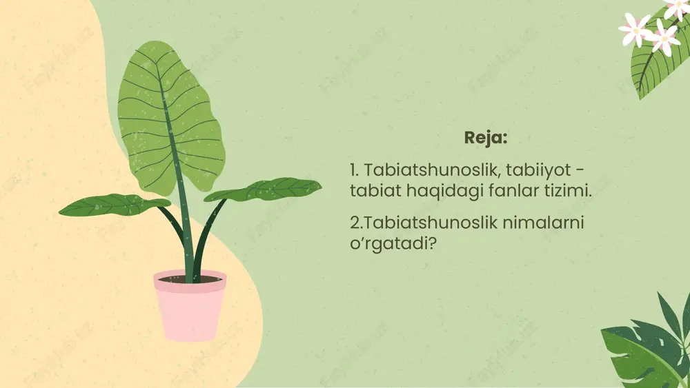 m boʻlimlarga boʻlgan va geodeziya, farmakognoziyani mustaqil fanlar sifatida bayon etgan. image2.png image1.png