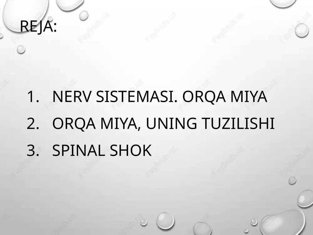 n iboratki, orqa miyaning qirqib qo’yilgan joyidan pastroqdagi barcha nerv markazlarining qo’zg’aluvchanligi juda ham pasayadi va reflector funksiyalari susayadi.orqa miyaning qirqib qoyilgan joyidan yuqoriroqdagi nerv markazlari esa ishlayveradi. e’tiboringiz uchun raxmat. image3.png image4.png image5.png image6.png image7.jpeg image8.jpeg image9.png image10.png image11.png image12.png image13.png image14.jpeg image15.png image1.png /docprops/thumbnail.jpeg