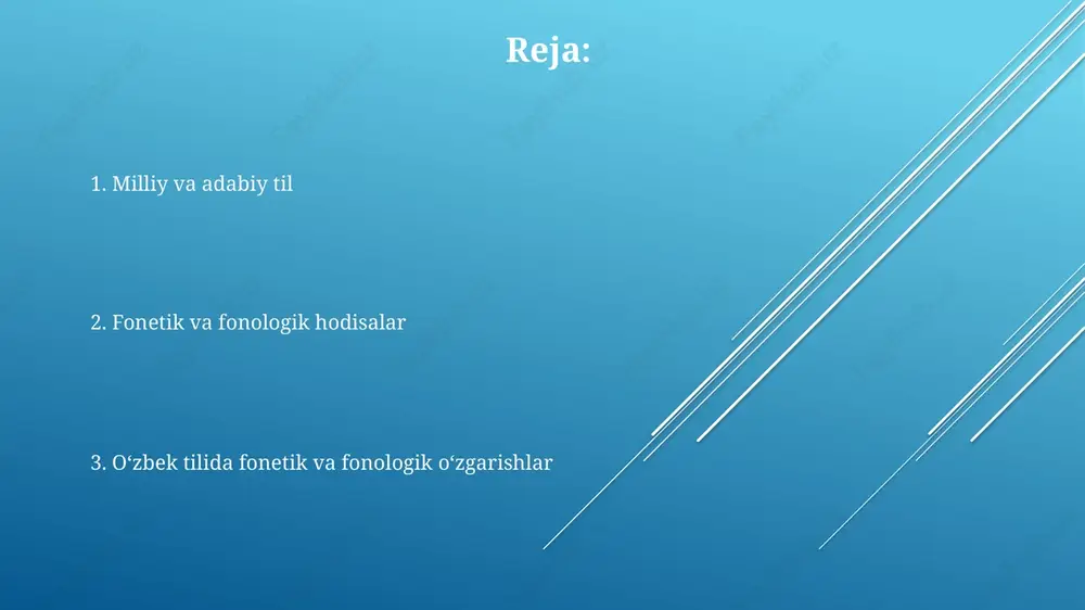 milliy va adabiy til. fonetik va fonologik hodisalar. - Page 2