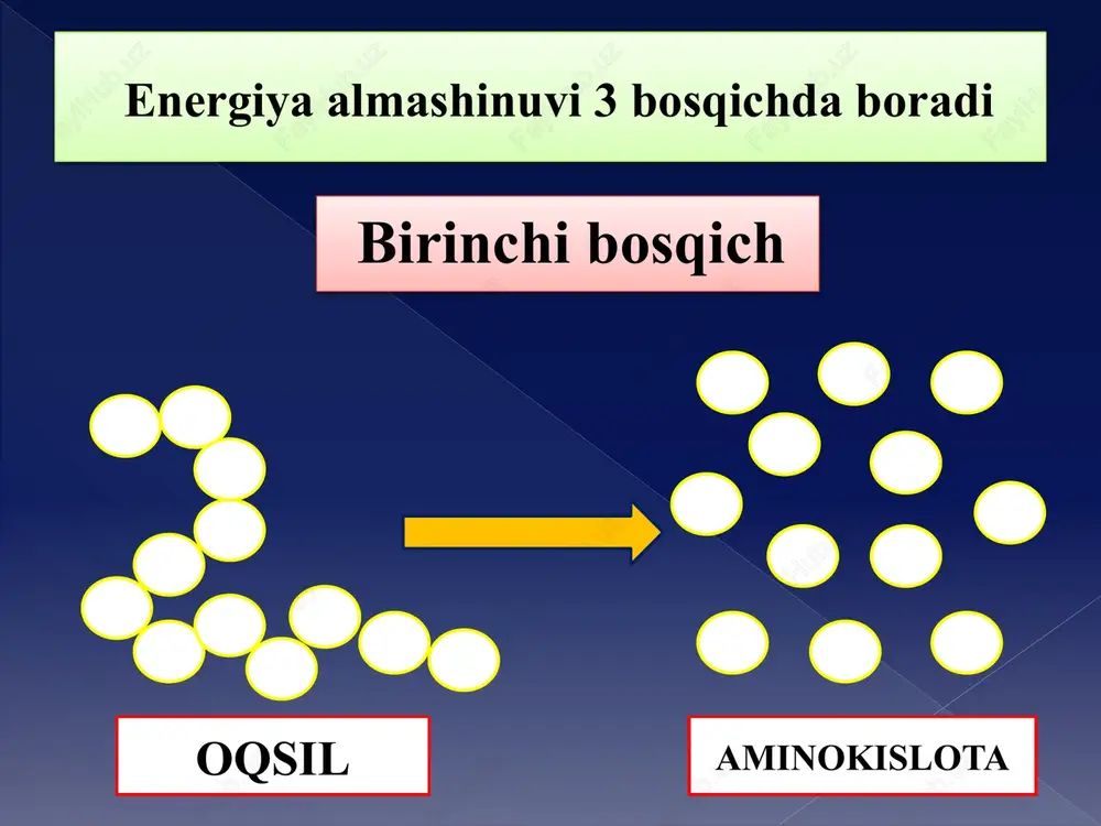 20 kj energiya (54,3%) atf bog’larida toplanadi 1) 325 g glukoza to’liq parchalansa qancha kj energiya hosil bo‘ladi? 180 g glukoza ---------- 2800 kj energiya 325 g glukoza ---------- x = 5055 kj energiya javob: 5055 kj energiya hosil bo’ladi dissimilyatsiya jarayonida 2,5 mol glyukoza to'liq parchalandi. sintezlangan atf va hosil bo'lgan karbonat angidrid gazining miqdorini aniqlang. 1 mol gyukoza -------- 38 atf xosil b/di 2,5 mol glyukoza -------- x x=2,5 mol x 38 atf = 95 atf 1 mol gyukoza -------- 6 co2 malekula 2,5 mol glyukoza -------- x x=2,5 mol x 6 co2 = 15 co2 malekula 10-sinf 1-laboratoriya 1. achish jarayonida issiqlik sifatida 720 kj energiya ajralgan bo‘lsa, aerob bosqichida necha mol sut kislota parchalangan(a) va atf da to‘plangan kj(b) miqdorini aniqlang. ishlanishi: 2. energiya almashinuvida jami ajralgan energiya 2,5 mol c2h12o6 glyukoza sinteziga sarflangan energiyadan 8 marta ko‘p va glikoliz bosqichida issiqlik sifatida 600 kj energiya …
