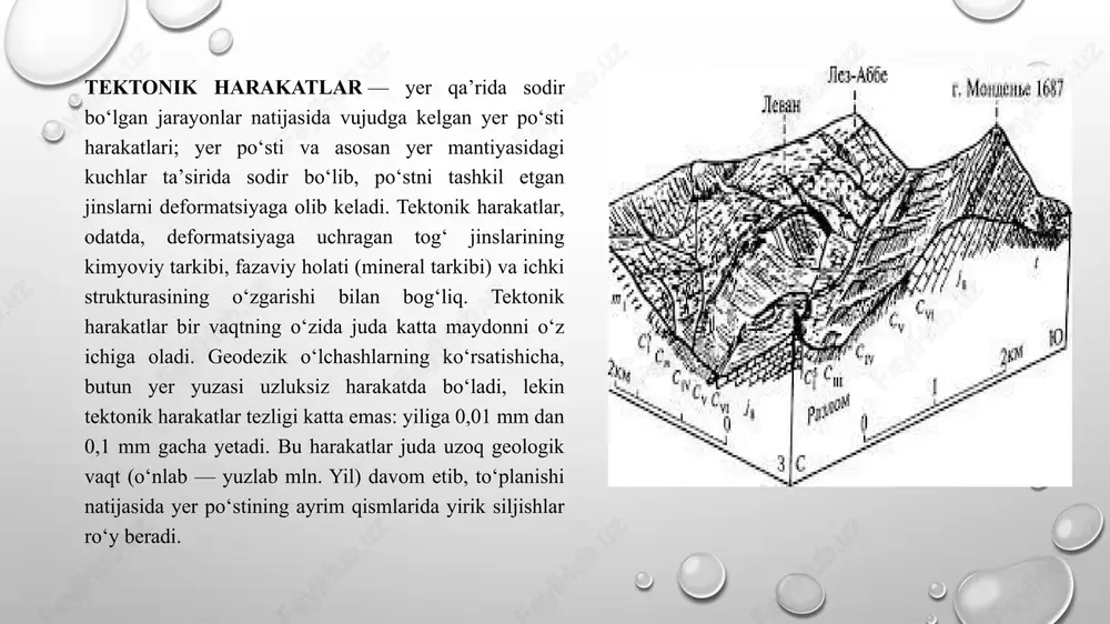 kelish chuqurligi, mexanizmi va paydo boʻlish sabablari har xil ekanligi maʼlum boʻldi. xviii o`rtalarida tektonik harakatlarni boshqa prinsip boʻyicha sekin (asriy) va shiddatli boʻladigan harakatlarga ajratdilar. tez sodir boʻladigan harakatlar, odatda, zilzilalar bilan bogʻliq boʻlib, gʻoyat qisqa muddatda kechadi. zilzila vaqtida yer yuzasidagi siljishlar bir necha m ga yetadi, baʼzan 10 m dan ham oshadi. lekin bu siljishlar jamlanganda sekin siljishlardan koʻp ham ortiq emas. tektonik harakatlarni vertikal (radial) va gorizonta l (tengensial) harakatlarga boʻlish shartli boʻlsada, bir qadar ahamiyatga ega; bu harakatlar oʻzaro boglik boʻlib, biri ikkinchisiga oʻtib turadi. bunda vertikal yoki gorizontal tektonik harakatlardan biri ustun boʻladi. vertikal harakat ustun (birlamchi) boʻlganda, yer yuzasi koʻtariladi va choʻkadi, jumladan togʻlar paydo boʻladi. natijada okean va dengizlarda, qisman quruqlikda ham choʻkindi jinslarning qalin qatlami hosil boʻladi. gorizontal harakatlar yer poʻsti ayrim bloklarining boshqalariga nisbatan yuzlab km, hatto minglab km gacha yirik siljishlarida, ularning yuzlab km keladigan siljimalarida, shuningdek, kontinental poʻst …