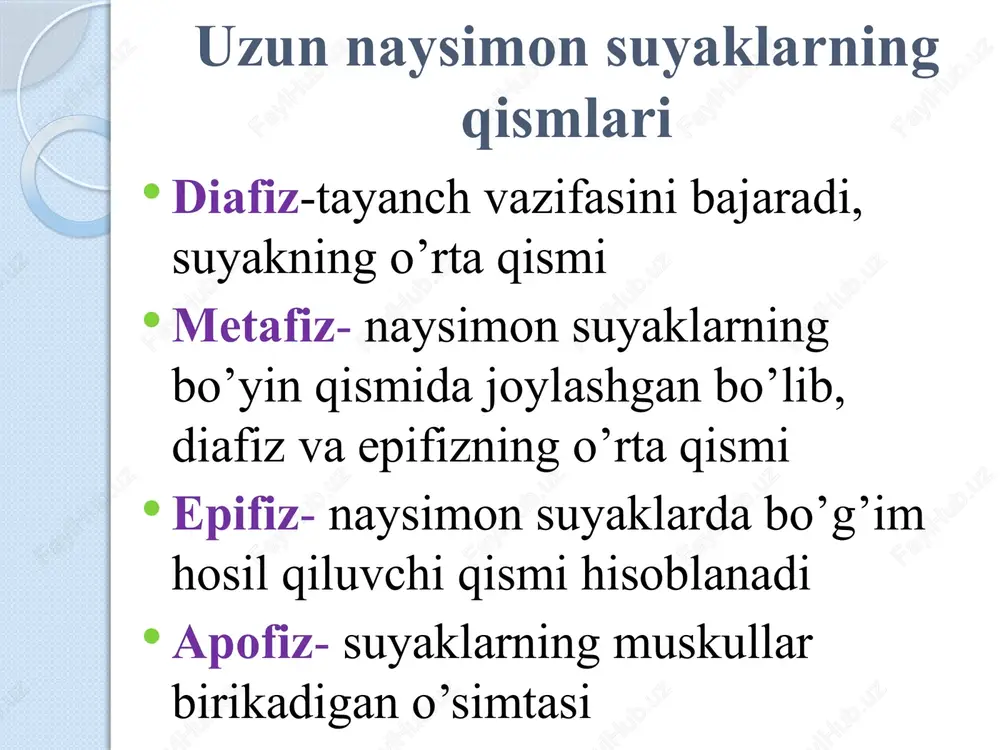 metacarpi- kaft; digitorum ossis manus- qo’l barmoqlari. ossa carpi 2 qator b.b joylashgan 8 ta mayda suyakchalardan iborat. 1- yoki proksimal qatorda bosh barmoq tomondan sanaganda, quyidagi suyakchalar joylashgan: 1) os scaphoideum- qayiqsimon 2)os lunatum- yarim oysimon 3)os trigietrum- 3 qirrali 4) os pisiform- no’xatsimon 2- yoki distal qatorda quyidagilar joylashgan: 1)os trapezium- trapetsiya shaklli 2)os trapezoideum- trapetsiyasimon 3)os capitatum- boshchali 4)os hamatum- ilmoqli suyak barmoqlarning nomlanishi 5ta barmoq mavjud: 1.bosh barmoq-pollex-digitus primus 2.ko’rsatkich barmoq-index-digitus secundus 3.o’rta barmoq-medius-digitus tertius 4.nomsiz barmoq-annularis-digitus quartus 5.jimjiloq-minimus-digitus quintus chanoq suyagi- pelvina yarim chanoq- os coxae butun chanoq- os pelvina os coxae- 3ta suyakdan tashkil topgan: 1) os ilium- yonbosh suyagi 2) os ischii- o’tirg’ich suyagi 3) os pubis- qov suyagi yonbosh suyakning qanotlari ala ossis ilii qirrasi crista iliaca bo’lib, bu qirra oldingi tomonda spina iliaca anterior superior et inferior ni hosil qilsa, orqa tomonda spina iliaca posterior superior et inferior ni hosil qiladi. …