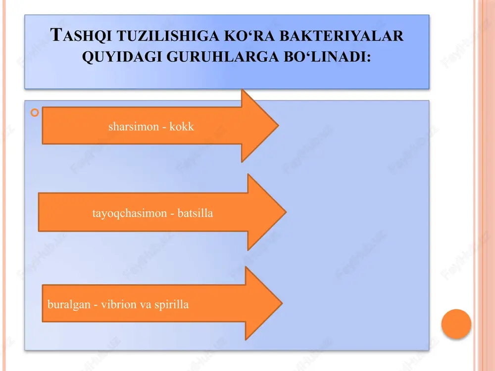 payib, ko‘zga ko‘rinadigan koloniya hosil qiladi. keyin ulardan mikropreparat tayyorlab, mikroskopda tekshiriladi. parazit bakteriyalar tirik organizm hisobiga yashab hayot kechiradi. parazit bakteriyalar odamda sil, vabo, o‘lat, ichburug‘, qoqshol kabi kasalliklarni keltirib chiqaradi. yuqumli kasalliklarning yoppasiga tarqalishi epidemiya deyiladi. epidemiyaning oldini olish uchun karantin e’lon qilinadi, ya’ni odamlarning to‘planishi, bemor oldiga ko‘pchilikning kirib-chiqishi taqiqlanadi. bemorning idish- tovoqlari, sochig‘i alohida tutiladi va bakteriyalardan tozalovchi moddalar yordamida yuviladi. kasal bo‘lmaslik uchun gigiyena qoidalariga rioya qilish, ovqatlanishdan oldin doimo qo‘lni sovun- lab yuvish zarur. uyga vazifa 1. mavzuni o’qish. 2. savollarga javob yozish: a) chirituvchi bakteriyaning foydali va zararli tomonlarini ayting? b) bakteriyali kasallikarga misol yozing? 3.mavzu bo’yicha 5 ta test tuzing. e’tiboringiz uchun rahmat!!! image2.png image3.png image4.png image5.png image6.png image7.png /docprops/thumbnail.jpeg