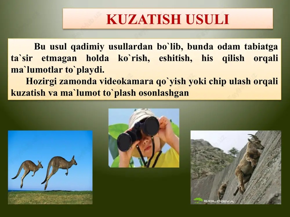 unchi idishlarda pashsha va qurtlar hosil bo`lmadi? og`zi yopiq bo`lgani uchun og`zi yopiq idishga organizmlar kira olmagani uchun ulardagi go`shtga pashshalar qo`nmagani uchun barcha javoblar to`g`ri javob: d) barcha javoblar to`g`ri 4. berilgan jadvalning har bir qatoridan “ha” yoki “yo‘q” belgisini belgilang. savollar ha / yo`q 1 birinchi idish og`zi doka bilan berkitilganmi? ha / yo`q 2 birinchi idishda qurt va pashsha hosil bo`lishi uning og`zi ochiq qolganidami? ha / yo`q 3 uchunchi idishning og`zi doka bilan berkitilganmi? ha / yo`q 4 birinchi idishda qurt hosil bo`lishiga sabab havomi? ha / yo`q 5 olim bunda kuzatish usulidan foydalanganmi? ha / yo`q 6 ikkinchi idishda pashsha va qurt hosil bo`ldimi? ha / yo`q javob: yo`q / ha / ha / yo`q / yo`q / yo`q mustahkamlash biologiyaning o`rganishning qanday usullarini bilasiz? qaysi usuldan tabiatga ta`sir etmasdan ma`lumot to`planadi? otlarning kelib chiqishi qaysi usulda o`rganilgan? oq rangli gullarga bo`yoqning ta`sirini qaysi usuldan …