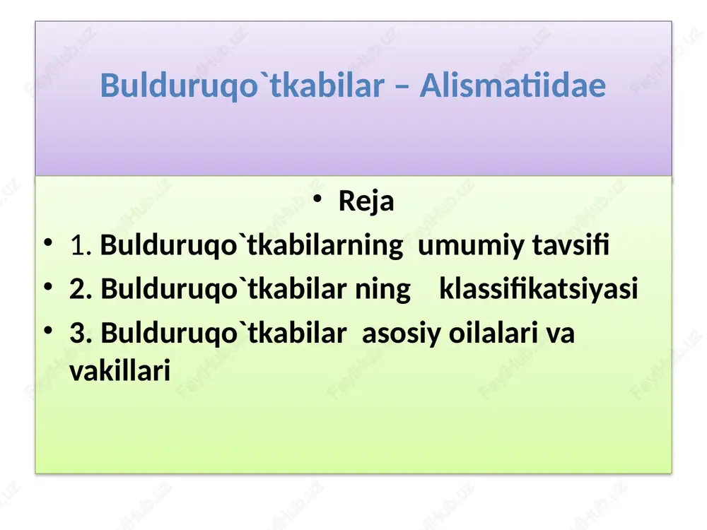 lasiga nayada, yashilgul (najas z.) kiradi. bu turkumga dengiz nayadasi (n.marina l.) va kichik nayada (n.minor all.) bor. dengiz nayadasi – bir yillik o`t, bo`yi 30-60sm, poyasi ingichka, sershox, barglarining chetki va ostki tomonida tikanlar bor, suv bosgan kichik ko`lchlarda o`sadi. iyul – sentyabr oylarida urug`laydi. kichik nayada –bir yilluk poyasi qoramtir yashil, mo`rt, ipsimon shoxlangan, uzunligi 4-15 sm, ko`l va daryo suvlarida o`sadi. iyun-sentyabr oylarida gullab urug`laydi. bulduruqo`tnamolar –alismatales bulduruqo`tdoshlar –alismataceae oilasiga nayzabarg (sagittariya)turkumiga uch yaproqli nayzabarg(s.trifoliya l.) –ko`p yillik o`t, gullari ayrim jinsli, ikki uyli o`simlik. urug`chisi qisqa, changchisi uzun bandli, gul qismlari 3 tadan, tojibargi oq, daryo bo`ylari, sholipoyalarda o`sadi alisma yani bulduruqo`t (alisma l.) turkumiga g`allabargli alisma, bargizubsimon alisma yani bulduruqo`t kabi 10 dan ortiq turlar kiradi. qirqbargnamolar-juncaginales qirqbargdoshlar-juncaginaceae oilasiga trigloxin turkumi kiradi. unga botqoq trigloxini o`simligi kirib, hamma yerlarda o`sadi. ko`p yillik ildizpoyali, kuzda ildizpoyasi tubida piyozli novdalar hosil qiladi. barglari qalami, silindrsimon yoki yassi, …