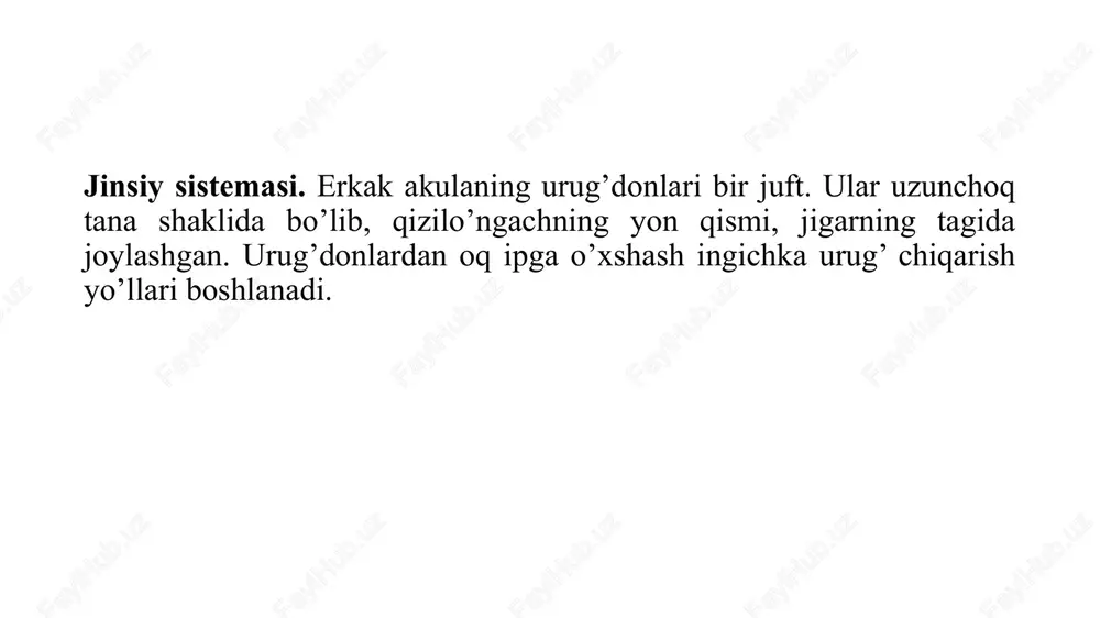 lan ifodalanadi. asab tizimi quyidagilar bilan ifodalanadi: - markaziy (miya va orqa miya); - periferik (miya va orqa miyadan keladigan nervlar). asab tizimi nerv sistemasi organlar ishini, organizm qismlarini, ularni o‘zaro bog’liqligini hamda organizmning tashqi muhit bilan aloqadorligini ta’minlaydi. shu bilan birgalikda baliqning biologik jarayon va xulqini belgilaydi. bosh miya va orqa miyadan chiqadigan nerv tolalari va gangliyalar organlar faoliyatini boshqaradi. periferik nerv sistemasi o‘z navbatida somatik va vegetativ nerv sistemalariga bo'linadi. vegetativ nerv sistemasi esa simpatik va parasimpatik qismlardan iborat. bu har ikkala sistema ichki organlarni va silliq muskullarni innervatsiya qiladi. baliq miyasi besh qismdan iborat: old miya (telensefalon); oraliq miya diensefalon; o’rta miya (mezensefalon); miyacha (serebellum); uzunchoq miya (myelencephalon). markaziy nerv sistemasi uzun nay shaklida bo’lib, butun tana bo'ylab o'tadi. umurtqa pog'onasi kanalida uning yoylari ichida joylashgan va himoyalangan. uning bir qismi orqa miya va kengaygan qismi oldingi qism bo’lib, bu qism bosh miya skeleti bilan himoyalangan bosh …