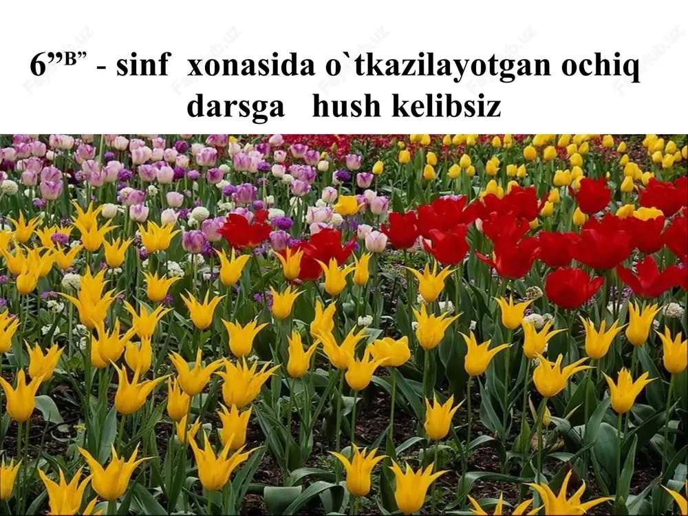 lniya, ish asboblari, nazorat ishi savollari. o`tilgan mavzuni so`rash 1. tabiiy tolalar qanday turlarga bo’linadi? 2. arqoq va tanda iplar deb qanday iplarga aytiladi? 3.o’simlik tolasidan olingan gazlamalarning xususiyatlarini ayrib bering. 4.jun va ipak tolalarining fizik xossalarini ayting. 5.jun va ipak tolalarni mexanik xossalarani ayting. 6.jun va ipak tolalarining gigienik xossalarini ayting. yangi mavzu bayoni. kiyimlardan foydalanishda tugmalar katta ahamiyatga ega. tugmalar faqat taqish uchungina emas, balki bezash uchun ham ishlatiladi. odatda ular asosiy material rangida bo’ladi. kiyim tugmalari mexanik usulda (kesib), list materialldan shtamplab, kukunlardan presslab tayyorlanadi. asl tugmalar bezak shnurtar, tesmalar, gazlamadan sug’urib olingan iplardan eshib tayyorlanadi. tugma tayyorlash usuli u qanday materialdan tayyorlanishiga qarab tanlanadi. mexanik usulda yumaloq qoliplar yo’niladi va pardozlanadi. shtamplash usulida tugmalar list materialidan kesib olinadi. press-kukunlardan tugmalar tayyorlashda plastik kukunlari press-qoliplarga solinadi, bu yerda yuqori temperatura va bosim ta’sirida kukun eriydi, sovitilgandan keyin qotadiva tugma shakliga kiradi. tugmalar tayyorlanadigan xom-ashyollar turli-tuman bo’ladi. bular …