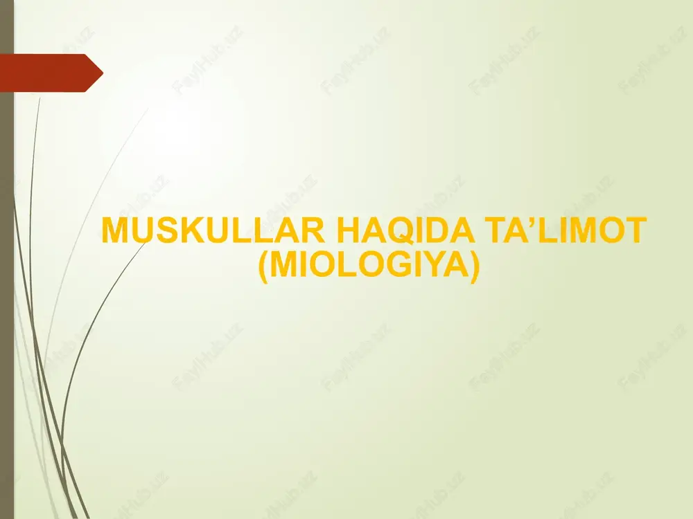hki qiyshiq muskuli; 15- qo'l panjasini bu¬kuvchi bilak muskuli; 16¬qorinning to'g'ri muskuli; 17¬elkaning ikki boshli muskuli; 18- qovurg'alararo muskullar. b) odam tanasi skelet muskullari didg orqadan ko'rinishi. 1- rombsimon muskul; 2¬umurtqa pog'onasini yozuvchi muskul; 3- orqaning tishsimon muskuli; 4-dumbaning kichik muskuii; 5 - sonning ikki boshli muskuli; 6- boldiming uch boshli muskuli; 7- axil! payi; 8- tovon; 9- dumbaning katta muskuli; 10- orqaning semar keng muskuli; 11- panjalami yozuvchi bilak muskuli; 12- yelkaning uch boshli muskuli; 13- trapetsiyasimon muskul. odam tanasi skelet muskullari¬ning oldingi va orqa tomonidan ko'rinishi a va b- rasmlarda ifoda¬langan. skelet muskullari tayanch-harakatlanish sis¬temasining faol qismi hisoblanadi. muskul qis¬qarishi suyaklarni harakatga keltiradi va odamning qo'l-oyoqlari ma'lum, ishni bajaradi (yurish, yugurish, sakrash, yuk ko'tarish, ovqatlanish, so'zlash, yozish va hokazo) . muskullar harakatini nerv sistemasi boshqaradi. muskullar harakatini ta'¬minlovchi nerv hujayralari motoneyron deb ataladi. ular harakatlanuvchi nerv hujayralari bo'lib, orqa miyada hamda bosh miyaning uzunchoq va o'rta miya qismlaridajoy¬lashgan. …