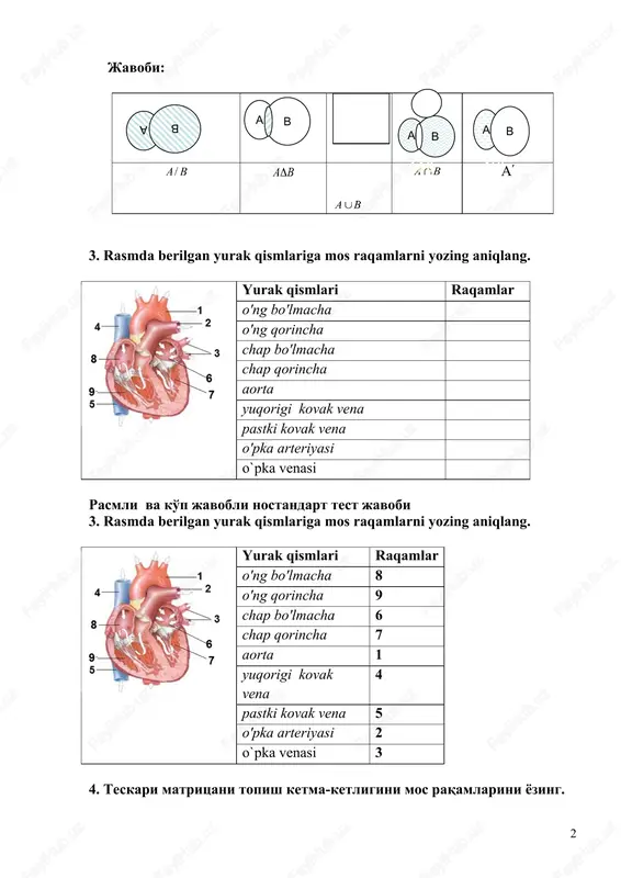 i rasmli va ko'p javobli nostandart test javobi 3. rasmda berilgan yurak qismlariga mos raqamlarni yozing aniqlang. yurak qismlari raqamlar o'ng bo'lmacha 8 o'ng qorincha 9 chap bo'lmacha 6 chap qorincha 7 aorta 1 yuqorigi kovak vena 4 pastki kovak vena 5 o'pka arteriyasi 2 o`pka venasi 3 4. teskari matritsani topish ketma-ketligini mos raqamlarini yozing. hisoblashlar raqamlar determinant noldan farqli transponirlangan matritsani tuzish matritsa elementlarini algebraik to'ldiruvchilarini hisoblash matritsa determinantini hisoblash transponirlangan matritsaning determinantga nisbati olinadi javobi: hisoblashlar raqamlar transponirlangan matritsaning determinantga nisbati olinadi 5 transponirlangan matritsani tuzish 4 matritsa elementlarini algebraik to'ldiruvchilarini hisoblash 3 matritsa determinantini hisoblash 1 determinant noldan farqli 2 5. predikatlar ustida bajariladigan amallarni bajarish ketma-ketligini mos raqamlar bilan belgilang va jadvalga raqamlarni qo'ying. bajariladigan amallar raqamlar ( b(x) ( d(x) a(x) ( ( b(x) ( d(x) ( c(x) . ( b(x) ( d(x) ( c(x) . ( b(x) javobi: bajariladigan amallar raqamlar ( b(x) …