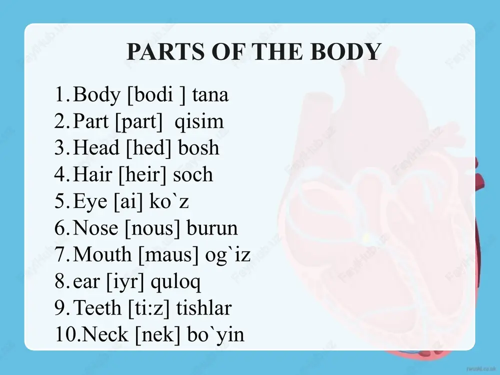parts of the body - Page 2