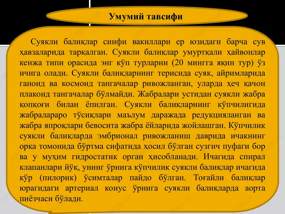 suyaklardan, ya'ni teri suyaklardan iborat. jabra apparati suyakli jabra qopqog'i bilan yopilgan. ichagida spiral klapanlari bor. suzgich, ya'ni havo pufagi bo'lib u kanal orqali qizilo'ngach bilan qo'shilgan. yuragida arterial konus saqlangan. ularda qo'shilish organlari yo'q. shuning uchun ham otalanish tashqi, ikrasi mayda bo'ladi. tog'ay – suyakli baliqlar kenja sinfi osyotrlar, ya'ni baqralar (acipenseridae) oilasi (25 tur) (mdx 13 tur o'zb. 6 tur) osyotrsimonlar, ya'ni baqra-simonlar (acipenseriformes) turkumi kurakburunlar (polyodontidae) oilasi (2 ta tur) * kurakburunlar (polyodontidae) oilasi 1. eshkakburun (polyodon spathula) 2. psefur (psephurus gladius) osyotrlar , ya'ni baqralar (acipenseridae) oilasi 1.beluga - 15-18 yil , 500 mingdan 4,5 milliontagacha 2. rus osyotri - 8-15 yil , 70 mingdan 840 mingtagacha 3. sevryugalar – 6-8 yil , 80 mingdan 240 mingtagacha 4.sterlyad - 4-6 yil , 4 mingdan 140 mingtagacha eshkakburun (polyodon spathula) amudaryo katta soxta kurakburuni (pseudoscaphirhynchus kaufmanni) beluga (huso huso) shu'laqanotlilar (actinopterygii) kenja sinfiga 20 mingdan ortiq tur …