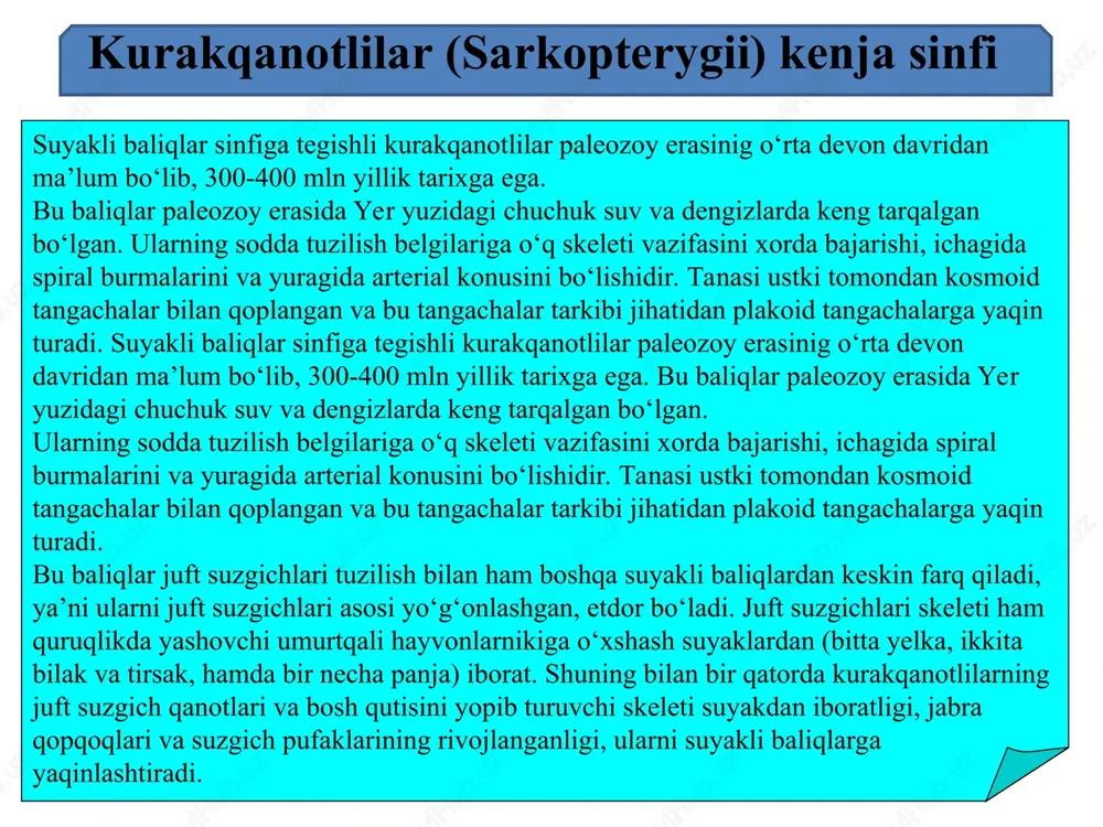 ganligi, arterial konusi hamda ichagida spiral burmalarining bo‘lishi, suzgich pufagining yo‘qligi ularni tog‘ayli baliqlarga yaqinlashtiradi. shuning bilan birga juft suzgichlari skeleti, jabra qopqog‘ining borligi va miya qutisi skeletlarining suyakdan iboratligi ularni suyakli baliqlarga yaqinligini ko‘rsatadi. nafas olishda jabradan tashqari o‘pka ham qatnashadi. buning uchun ichakning ostida joylashgan bitta yoki ikkita pufakcha xizmat qiladi. bu pufakchalar suyakli baliqlarning suzgich pufagi bilan gomolog emasligini aytib o‘tish zarur. burun teshiklari ochiq bo‘lib, o‘pka bilan nafas olishda ishtirok etadi. o‘pkaga qon to‘rt juft jabra arteriyalari orqali keladi, maxsus qon tomirlari o‘pkadan qonni yurakka olib keladi. bu tomirlar o‘pka venalariga gomolog bo‘ladi. yurak bo‘lmasidagi yupqa chala parda yurakni chap va o‘ng qismlarga bo‘lib turadi. yurak bo‘lmasining chap qismiga qon o‘pka venalaridan, o‘ng qismiga kyuve organi va keyingi kovak venadan keladi. kovak vena ko‘pqanotlilardan tashqari boshqa kenja sinflarda bo‘lmaydi, ular asosan quruqlikda yashovchi hayvonlar uchun xos bo‘ladi. ikki xil nafas oluvchilar (dipnoi yoki dipneustomorpha) ularning ancha …