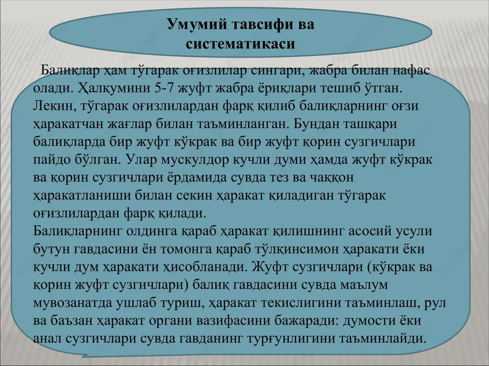 suzgich qanotlarining distal qismini elastik (shox moddali) shu'lalar tutib turadi. juft suzgich qanotlari gorizontal holda joylashgan. dum suzgich qanoti geterotserkal tipda bo'ladi. havo (suzgich) pufaklari va o'pkasi bo'lmaydi. tog'ayli baliqlar ana shunday sodda tuzilish belgilariga qaramay, ularda quyidagi progressiv xususiyatlari ham bor. umumiy tavsifi ko'pchilik akulalarning gavdasi duk shaklida bo'ladi. gavda chegarasi noaniq uch qismga: bosh, tana va dumga bo'linadi. boshining oldingi tomonida uzun rostrumi bor. boshining ikki yonida kattagina ko'zlari joylashgan. akulalarning ko'zida harakatchan qovoqlari yo'q. ko'zining orqasida ikkita teshik – sachratg'ich bo'lib, bu teshik halqum bilan tutashgan. sachratg'ich qachonlardir jag' yoyi bilan til osti yoylari oralig'ida joylashgan jabra teshigining qoldig'i hisoblanadi. ko'ndalang tirqish shaklidagi og'iz teshigi boshining pastki qismida joylashgan. jag'laridagi o'tkir tishlari asosan shakli o'zgargan plakoid tangachalardir. boshning pastki qismida og'ziga yaqin joyda bir juft burun teshigi bor. burun teshiklari teri parda bilan ikkiga bo'lingan. boshining ikki yonida beshtadan tirqishsimon, vertikal joylashgan jabra teshiklari bor. oxirgi (beshinchi) …