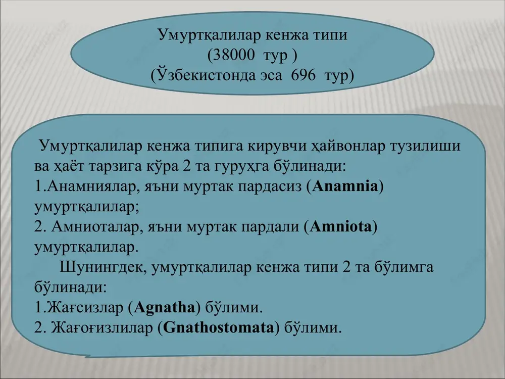 ligi bu hayvonlarning yashash sharoitiga moslashganligidan dalolat beradi. umumiy tavsifi daryo minogasi to'garak og'izlilarning tashqi ko'rinishi daryo minogasi misolida ko'rib chiqiladi. daryo minogasining gavdasi hozirgi barcha to'garak og'izlilarniki singari tsilindirsimon, ilonga o'xshash bo'ladi. minoganing gavdasi uch qismga – bosh, tana va dumga bo'linadi. bu qismlar aniq chegarasiz, ya'ni bir–biriga qo'shilib ketgan. boshining uchida so'ruvchi og'iz voronkasining katta teshigi joylashgan bo'lib , uning atrofi teri popukchalar bilan o'ralgan. og'iz oldi voronkasining ichki, yon va ustki devorlarida o'ziga xos shox tishlari bor. bularning joylanish o'rni hamda soni sistematik ahamiyatga ega. voronka og'iz teshigi bilan bog'langan va undagi shoxsimon moddadan iborat tishli tilining uchi ko'rinib turadi. tashqi ko'rinishi minoganing tashqi ko'rinishi minoganing tashqi ko'rinishi minoganing tashqi ko'rinishi to'garak og'izlilarning skeleti tog'ay va biriktiruvchi to'qima pardalardan iborat bo'lib, uning tarkibida suyak yo'q. o'q skeleti qalin biriktiruvchi to'qima pardasi bilan o'ralgan xordadan iborat. juft mayda tog'aylar tizmasi xordaning ikki yon devorlari bo'ylab qator joylashgan. bu …