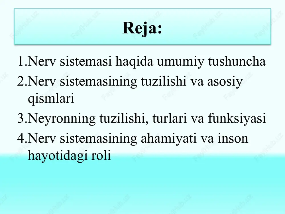 gan) vazifani bosh miya yarim sharlari va po’stloqdagi nerv markazlari. periferik nerv sis. – orqa miyadan chiquvchi 31juft sezuvchi va harakatlantiruvchi nerv tolasi, bosh miyadan chiq. 12juft nerv va umurtqa pog’on. atrofida va ichki org.da joylashgan nerv tugunlari kiradi. markaziy nerv sis. – orqa va bosh miya kiradi. umurtqa pog’onasi kanalda joylashgan, 40-45sm, 30-40 gr bo’ladi. 31-33ta (8tasi bo’yin; 12tasi ko’krak; 5tasi bel; 5tasi dumg’aza qismida joylashgan) segmentdan iborat. 1-tashqi qism oq modda nerv tolalaridan 2-ichki qism kulrang modda nerv hujayralaridan orqa miya bosh miya 2 qismdan iborat bosh miya yarim sharlari va bosh miyaning stvol qismi (uzunchoq miya; varoliev ko’pri (miya ko’pri)gi; o’rta va oraliq miya va miyacha kiradi) miya ko’prigi (varoliev ko’prigi) – reflektor va o’tkazuvchanlik funk. – uchlik, ko’z soqqasini va yuz muskullarini harakat. nerv markaz/ joylashgan. neyronning tuzilishi, turlari va funksiyasi nerv sistemasining asosiy tuzilma birligi neyron deb ataladi. neyron — bu nerv impulslarini qabul qilish, …