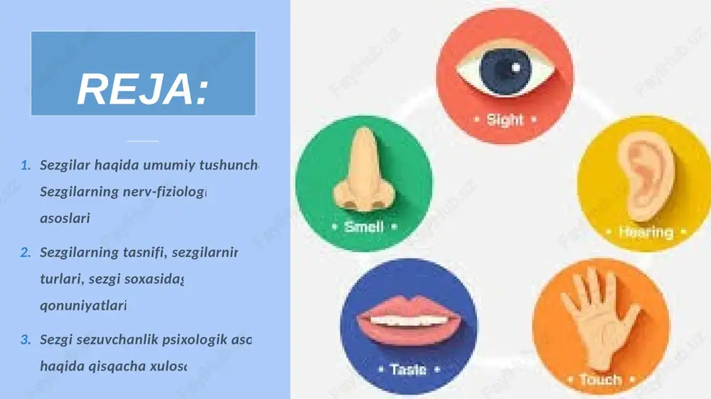 g`lovchi paylarda, mushaklarda joylashgan sezgilar; interoretseptiv sezgilar u borasida rus psihologi a.r.luriya tadqiqot ishini olib borgan. uning fikricha, interoretseptiv sezgilar asl, tub, ma'nodagi sezgilar emas, balki emotsiyalar bilan sezgilar o'rtasidagi oraliq sezgilar sifatida namoyon bo'ladi. psihologiya fanida mazkur sezgilar to'la o'rganilmaganligi sababli uni “noma'lum hislar” deb atalgan. miya po‘stlog‘ining chakka qismi buzilganda, inson yuzini tanish javobgarligi yo‘qoladi va bu kasallik prosopagnoziya deb nomlanadi. unda sezgilari normal, lekin idroki normal emas. unga notanish chexrani ko‘rsatishganda u bunga e’tibor beraydi. unga tanish chexrani ko‘rsatishganda, avtonom nerv sistemasi reaksiyasi shuni ko‘rsatadiki u xavotirlanadi va terlashni boshlaydi, lekin bu inson kimligini aytib bera olmaydi. miyani buzilganligi sababli, u ma’lumotlarni sxema bo‘yicha tepadan pastga qrab ishlolmaydi – to‘plangan bilimlarni sensor ma’lumotlar bilan bog‘lay olmaydi. psychology david g. myers hope college holland, michigan 210r interoretseptiv sezgilarning fiziologik mehanizmlari intero-sepsiya bilan birgalikda k.m.bikov, v.n. chernigovkiylar tomonidan atroflicha o'rganilgan. ularning fikriga ko'ra, bu narsalarning barchasi shartli reflektor faoliyati …