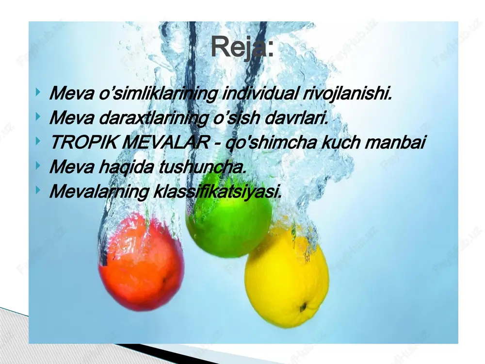 iy mevalarni hosil bo`lishida 1 ta tuguncha ishtirok yetadi (o`rik, olcha, gilos, olxo`ri). murakkab mevalarni hosil bo`lishida bir nechta tuguncha ishtirok yetadi. masalan: kungaboqar, qoqio`t, ayiqtovon va hokazo. to`p guldan hosil bo`lgan mevalarga to`p mevalar deyiladi. masalan: tut, shotut mevalari. mevalar meva qatining tuzilishiga ko`ra ho`l va quruq mevalarga ajratiladi. ho`l mevalar ham, quruq mevalar ham ichidagi urug`larining soniga ko`ra 1 urug`li va ko`p urug`li mevalarga bo`linadi. bir urug`li ho`l mevalarga olcha, gilos, shaftloi, o`rik, olxo`ri, ko`p urug`lilarga nok, qovun, tarvuz, uzum, apelsin, limon, mandarin kabi mevalar kiradi. bular boshqacha rezavor mevalar deyiladi. bir urug`li quruq mevalarga don, pista, xakalak, eman daraxti mevalari va bir urug`li qanotli mevalar kiradi. ko`p urug`li quruq mevalarga dukkak, qo`zoq, qo`zoqcha, ko`sak, ko`sakcha va har xil shakildagi quticha mevalar misol bo`ladi. meva o’simliklarining individual rivojlanishi. i.v.michurin o’simliklarni tashqi muhit sharoiti bilan bog’liq holda o’rgandi va ularning rivojlanish tarixini hisobga oldi. u organizm qanday tashqi muhit …