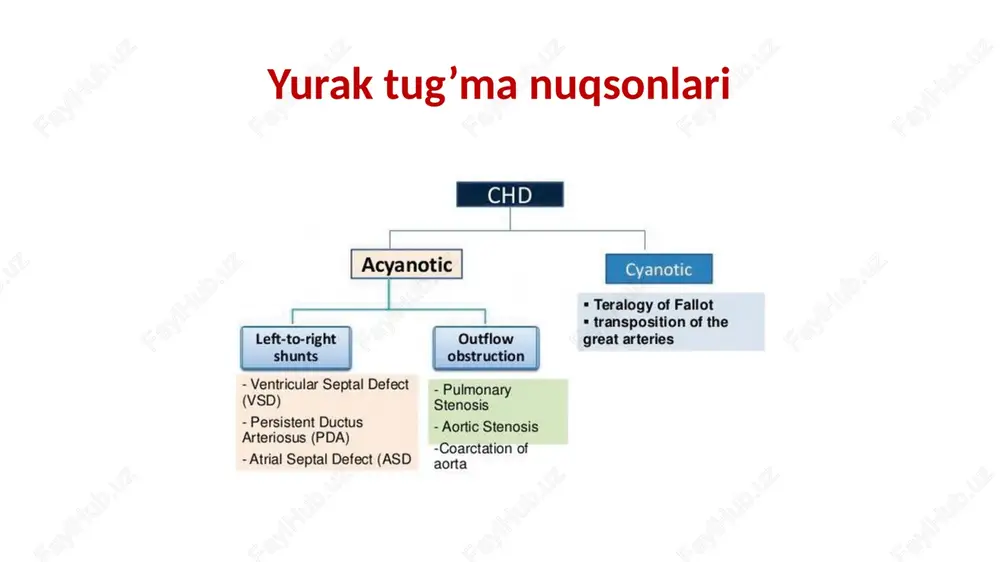 bosimni ortishi va kengayishi 3. o’pka gipertenziyasi 4. tk yetishmovchiligi koronar fistula • koronar arteriya va yurak kameralari o'rtasida g'ayritabiiy aloqa • 90% hollarda fistula o‘ng qorinchaga yo’naladi • o’q hajmini haddan tashqari yuklanishi • koronar o'g'irlik (koronar qon tomirlardagi qonni qorinchalarga o’tishi hisobiga ishemiya belgilari paydo bo’lishi) koronar fistulaning exo belgilari • kengaygan koronar arteriya (> 0,6 sm) • yurak kameralarining kengayishi • turbulent oqim • o’q ga doimiy oqim (shunt). koronar fistula fallo tetradasi 1. o’qchy obstruksiyasi (pulmonar klapan stenozi). 2. o’q gipertrofiyasi 3. aorta ildizining kengayishi 4. yirik qatn qatn va kengaygan aorta ildizi yirik qon tomirlar transpozitsiyasi dextra-tga bilan bog'liq yurak kasalliklari • qatn (bemorlarning 50%da). • chap qorincha chiqish yo’li obstruktsiya (25%) • mitral va trikuspidal klapandagi anomaliyalari • koronar tomir anomaliyalari left-tga bilan bog'liq yurak kasalliklari • qatn (70-80% bemorlar), ko'pincha perimembranoz bo’ladi. • o'pka chiqishi trakti obstruksiyasi (bemorlarning 30-60%). • trikuspidal klapan anomaliyalari …