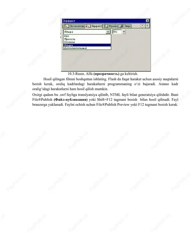 macromedia flash - Page 2