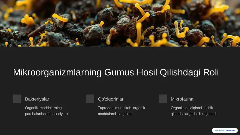 larida gumus muammolari past gumus miqdori kuchli quruqlik va intensiv qishloq xo'jaligi sababli kamaygan. tuproq eroziyasi gumus qatlamining eng muhim qismi yo'qolmoqda. qayta tiklash zarurati organik moddalarning ko'payishi uchun ekologik choralar talab qilinadi. 8 xulosa va tavsiyalar 1 gumus o'rni tuproq unumdorligini oshirishdagi asosiy omil. 2 mikroflora nazorati mikroorganizmlar faoliyatini rag'batlantirish kerak. 3 qishloq xo'jaligi texnikalari organik yo'llar bilan tuproqni boyitish tavsiya etiladi. 4 tuproq muhofazasi eroziya va qurib qolishning oldini olish zarur. 9 image1.png image2.png image3.png image4.png image5.png image6.png image7.png image8.png image9.png image10.png image11.png image12.png image13.png image14.png image15.png
