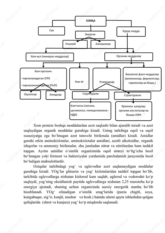 kaliy, natriy, xlor, magniy va oltingugurt kiradi. mikroelementlarga esa temir, rux, mis, yod, molebden, marganets, kobalt va selen kiradi. oziqalar tarkibida makroelementlar grammlarda, mikroelementlar esa milligramm yoki mikrogrammlarda o‘lchanadi. 1-chizma oziqalarning kimyoviy tarkibini aniqlash chizmasi ( oziqa ) ( suv ) ( quruq modda ) ( energiya ) ( almashinuv ) ( umumiy ) ( organik moddalar ) ( xom kul (mineral moddalar) ) ( biologik faol moddalar ( vitaminlar, fermentlar, gormonlar va boshq. ) ) ( xom protein : - parchalanadigan (pp) - parchalannmaydigan (pnp) ) ( xom yog' ) ( uglevodlar ) ( strukturasiz ) ( amidlar ) ( oqsillar ) ( strukturali ) ( kletchatka (lignin, tsellyuloza, gemitsellyuloza – ndk) ) ( kraxmal, qandlar, organik kislotalar va boshqa aem ) xom protein boshqa moddalardan azot saqlashi bilan ajaralib turadi va azot saqlaydigan organik moddalar guruhiga kiradi. uning tarkibiga oqsil va oqsil xususiyatga ega bo‘lmagan azot tutuvchi birikmala …