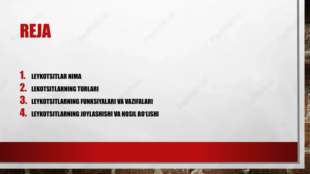 rat qilish. b-limfotsitlar- qo'llab-quvvatlash gumoral immunitet bakterial va kurash virusli infektsiyalar antikor oqsillarini hosil qilish orqali. monotsitlar- tufayli mumkin bo'lgan eng faol fagotsitlar funktsiyasini bajarish katta raqam sitoplazma va lizosomalar (hujayra ichidagi ovqat hazm qilish uchun mas'ul organoidlar). leykotsitlarning vazifalari leykotsitlarning ahamiyati ularning immunitet reaktsiyasida ishtirok etishi va tanani har qanday xorijiy agentlarning kirib kelishidan himoya qilish bilan izohlanadi. oq qon hujayralarining asosiy vazifalri fagositoz antitelolar ishlash oqsil toksinlarni yo'q qilish va olib tashlash. 3 neytrofillar. fagotsitozda bevosita ishtirok eting. ular hujayralararo suyuqlikka va mikrob yashaydigan hujayraga kirishga qodir. bunday immun hujayralardan biri 20 tagacha bakteriyani hazm qila oladi. mikroblarga qarshi kurashda neytrofil o'ladi. o'tkir yallig'lanish organizm tomonidan bunday hujayralarning keskin ishlab chiqarilishini qo'zg'atadi, bu darhol leykotsitlar formulasida aks etadi, miqdori ortdi. monotsitlar. neytrofillarga yordam bering. yallig'lanish o'chog'ida kislotali muhit paydo bo'lsa, ular faolroq bo'ladi. limfotsitlar. ular o'z hujayralarini tuzilishidagi begonalardan ajratib turadilar, antikorlarni ishlab chiqarishda ishtirok etadilar. bir necha …