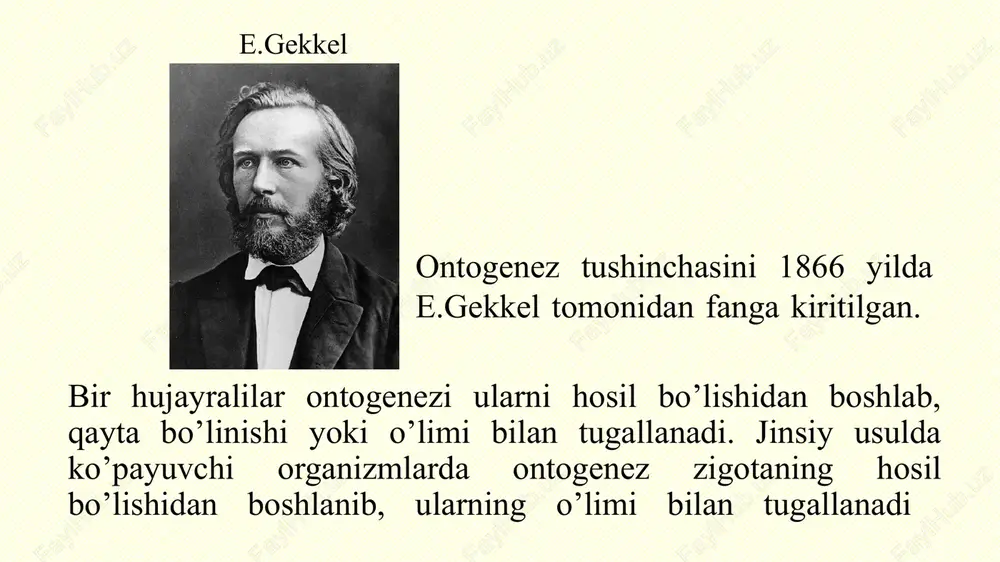 udga keladi. navbatdagi bo‘linish ekvator tekisligida o‘tadi, sakkizta hu- jayra hosil bo‘ladi. keyin meridianal va ekvatorial bo‘linish navbatlashib, 16, 32, 64 ta va hokazo blastomerlar hosil bo‘ladi, bular bir-biriga zich taqalib joylashgan hujayralardir. har bo‘linishdan keyin paydo bo‘lgan hujayra kichrayib boradi, shuning uchun bu jarayon maydalanish deb ataladi. maydalanish ko‘p hujayrali embrion – blastula hosil bo‘lishi bilan tugallanadi. gastrulyatsiya bosqichi: gastrula hosil bo‘lishiga olib keladigan jarayonlar yig‘indisi gastrulyatsiya deb ataladi. gastrulyatsiyaning mohiyati shundan iboratki, bu jarayon hujayralar to‘plamini aralashishi va homilaning 3 qavatga ajaralishi bilan xarakterlanadi. tashqi qavat – ektoderma o’rta qavat – mezoderma ichki qavat – entoderma ixtisoslashish — bu embrionning ayrim qismlari va hujayralarining tuzilishi hamda vazifasi jihatidan bir-biridan farq qilishidir. iqtisoslashishning 2 turi farqlanadi. morfologik ixtisoslashish: bu maxsus tuzilishga ega bir-biridan farq qiladigan yuzlab hujayra xillarini hosil bo‘lishidir. blastulaning ixtisoslashmagan hujayralaridan asta-sekin teri epiteliysi hujayralari, ichak epiteliysi, o‘pka, nerv, muskul va boshqa hujayralar paydo bo‘ladi. biokimyoviy ixtisoslashish: …