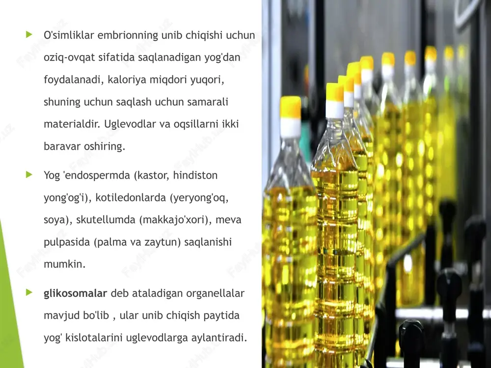 r mavjud emas lateks bo'yoqlari - suvda eriydigan o'simlik moylaridan ajratilgan yog 'kislotalaridan ishlab chiqarilgan alkidli qatronlar. yog'lar + milklar + sintetik qatronlar + pigmentlardan tashkil topgan; moylar "puflanadi", bu esa ularni qalinlashtiradi va neft moylarida (qatronlar) eriydi. linoleum endi aqshda ko'p ishlatilmaydi. jojoba - yog'lar triglitseridlar emas, balki efir moylari bo'lib, dastlab sperma yog'ini yaxshi o'rnini bosuvchi deb hisoblangan, lekin yuqori haroratda parchalanish tufayli emas; ammo tibbiyot va kosmetika sohasida foydalidir. qayta ishlash erkin yog 'kislotalarini olib tashlash degumming - shilimshiq moddalarni olib tashlaydi oqartirish - pigmentlarni olib tashlash deodorizatsiya - bug 'isitish qishlash - yog'ni sovutish va zarralarni filtrlash orqali bulutlanishni oldini oladi. gidrogenatsiya - sabzavotli cho'chqa yog'i, margarin va pishloq o'rnini bosuvchi mahsulotlarni beradi yog'larning umumiy xolesteringa nisbiy ta'siri yog 'yoki yog' miristik kislota c14:0 palmitik kislota c16:0 linoleik kislota c18:2 alfa linolenik kislota c18:3 diyet xolesterin delta tc xolesterin darajasining o'zgarishi yog 'yog'i 11 27 2 …