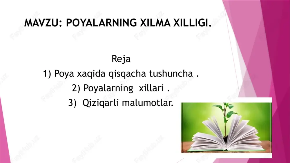 metr gacha o‘sishi mumkin, juda ingichka va egiluvchan. barglari: uzun, yon tomonlarida tikanlari bor. bu tikanlar yordamida boshqa daraxtlarga ilashib yuqoriga ko‘tariladi. rotang poyasi juda mustahkam va egiluvchan bo‘lgani uchun mebel, savat, gilam, devor panellari tayyorlashda ishlatiladi. qiziqarli malumotlar. 🌳 eng ulkan daraxt — bu sekvoiya (sequoiadendron giganteum) va qizil sekvoya (sequoia sempervirens) hisoblanadi. ular shimoliy amerikaning kaliforniya shtatida o‘sadi. 🔹 qiziq faktlar: sekvoyalar 3000–4000 yilgacha yashashi mumkin. tanasi ichiga kichik xona sig‘adigan darajada ulkan bo‘ladi. daraxt tanasi qalinligi tufayli o‘tga va kasalliklarga juda chidamli. --- qiziqarli malumotlar. 🌱 kaulifloriya — bu noodatiy hodisa bo‘lib, o‘simlikning gullari va mevalari to‘g‘ridan-to‘g‘ri poyasi yoki yo‘g‘on shoxlarida hosil bo‘lishi demakdir. 🔹 kaulifloriya o‘simliklari: kakao daraxti (theobroma cacao) 🍫 – mevalari bevosita tanasida yetiladi. yava olxo‘ri (syzygium malaccense). qiziqarli malumotlar. 🌱 poyasida suv to‘plovchi o‘simliklar – bu sukkulent o‘simliklar bo‘lib, ular qurg‘oqchil sharoitga moslashgan va poyasida suv zahiralab yashaydi. 🔹 asosiy misollar: kaktuslar 🌵 …
