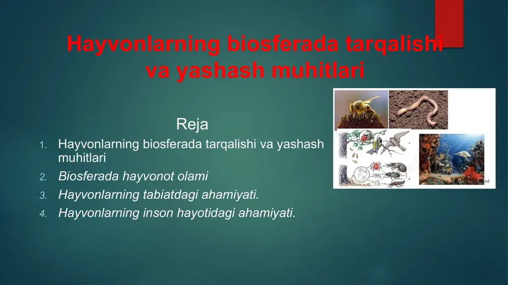 lar harorati yuqori, namlik kam, o‘simliklar siyrak. moslashuvlar: suvni tejash, tun­da faollik, teri orqali kam bug‘lanish. hayvonlar: kaltakesaklar, toshbaqalar, ilonlar, tuya, cho‘l sichqonlari. tundra sovuq iqlim, o‘simliklar past bo‘yli. tipik hayvonlar: muz ayiqlari, bug‘ular, qutb tulkilari. 2. suv muhiti (aquatic) yer yuzining 70% dan ortig‘ini suv qoplaydi va hayvonlarning katta qismi shu muhitda yashaydi. chuchuk suvlar (daryo, ko‘l, buloq) oqim tezligi, tuz miqdori kam. hayvonlar: daryo baliqlari, qurbaqalar, suv hasharotlari, chig‘anoqlar. sho‘r suvlar (okean va dengizlar) dunyo hayvon turlarining eng katta xilma-xilligi shu yerda. hayvonlar: kitlar, delfinlar, akulalar, meduzalar, qisqichbaqalar, planktonlar. hayvonlar yerning – hayot qobig’i, biosferaning asosiy komponentlaridan bo`lib, tabiiy resurslar orasida alohida o`rinni egallaydi. oqilona foydalanilganda hayvonlar tiklanadigan va cheksiz mahsulot beradigan manbaga aylanishi mumkin. biosferadagi o`ziga xos tabiiy muvozanat ko`p jihatdan o`simlik va hayvonlarning biologik rang-barangligini saqlashi bilan boliqdir. www.arxiv.uz hayvonlar biologik resurslarning ajralmas bir qismi bo`lib, tabiatda modda va energiya almashinuvida ular muhim rol o`ynaydi. hayvonlar …
