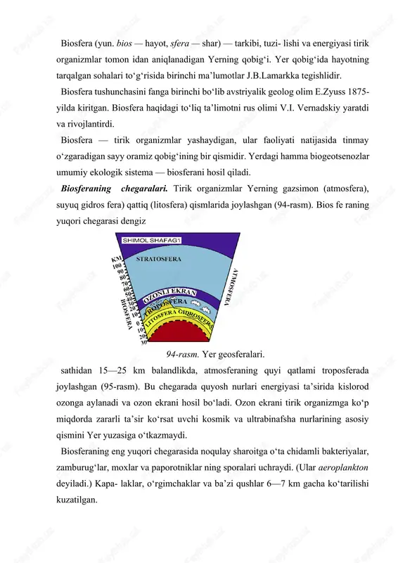 idan neft quduqlari kovlanganda 7,5 km chuqurlikda anaerob bakteriyalar topilgan. shunday qilib, biosfera — yerning tirik organizmlar yashaydigan geologik qobiqlarining bir qismidir. sayyoramizdagi hayot chegarasi biosferaning chegaralari bilan aniqlanadi. biosferaning tarkibi. biosferaning tarkibi xilma-xil bo‘lib, 100000 m 500001 20000 10000 2000 1000 2 100 20 3 10 1 4 -0,1 -1 -10 -100 5 -1000 95-rasm. biosferada hayotning tarqalish chegaralari. uni 4 qismga ajratish mumkin: 1. tirik moddalar. 2. biogen moddalar. 3. qattiq jismlar. 4. biogen va abiogen hosil bo‘luvchi moddalar. sayyoramizda yashaydigan hamma tirik organizmlarning yig‘indisi biosferaning tirik moddasini tashkil qiladi. o‘zining massasiga ko‘ra tirik modda biosferaning juda kichik tarkibiy qismi bo‘lsa ham geologik davrlar mobaynida ularning faoliyati yerning rivojlanishiga juda katta ta’sir ko‘rsatadi. v.i. vernandskiy yerning paydo bo‘lishidan ko‘p o‘tmasdan unda hayot paydo bo‘lgan va u sayyoramizning qiyofasini o‘zgartiruvchi asosiy omillardan biri bo‘lgan deb ta’kidlaydi. biogen moddalar — tirik organizmlar faoliyatining mahsulotlaridir. ularga neft, toshko‘mir, ohaktosh va atmosfera …