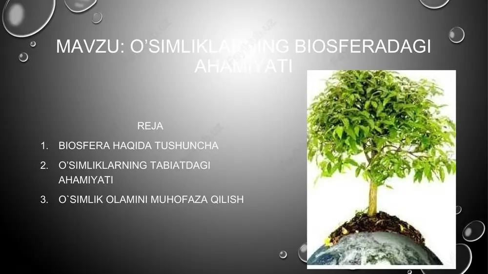 shi, shaharlar, zavod, fabrikalar, sunʼiy suv havzalari, yoʻllar qurilishi va b.) b.dagi biokimyoviy jarayonlarga katta taʼsir oʻtkazmoqda. yer osti boyliklarini qazib olib, juda kup miqdorda yoqilgʻi yoqilishi moddalar almashinuvini tezlashtirib, b. tarkibi va uning gomeostaz holatiga taʼsir koʻrsatadi. shu tufayli b.ni bir butun, muayyan darajada tartibga solingan murakkab dinamik sistema deb qaralishi unda kechadigan jarayonlarni toʻgʻri tushunib olishga yordam beradi. biosfera toʻgʻrisidagi taʼlimot ekologiya, biotsenologiya va b. fanlarning rivojlanishida, tabiat va jamiyatning rivojlanishi bilan bogʻliq boʻlgan juda koʻp oʻta murakkab muammolarni xal etishda katta ahamiyatta ega. o’simliklar ekologiyasi 2 ta bo’limga bo’linadi. aut eko logi ya sin eko logi ya autekologiya bitta o’simlikka bo’ladigan ekologik omillarning ta’sirini o’rganadi. sinekologiya esa barcha o’simliklarga ekologik omillarning ta’sirini o’rganadi. har qanday o’simlik tashqi muhit bilan uzviy bog’liq bo’lib, ular evaliyutsion taraqqiyot jarayonida turlicha moslashib borgandir. hayotning dastlabki bosqichlarida tirik organizmlar dastlab suvda keyin havoda, tuproqda va nihoyat organizmlarning o’zida parazitlik bilan hayot kechirishga …