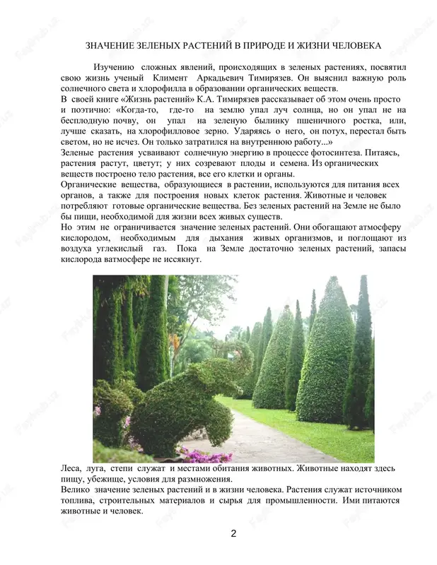 mashine i est pisha. poetomu v pishu godyatsya tolko opredelennie veshestva, imenno uglevodi (uglevodami nazivayutsya v ximii veshestva, sostoyashie iz ugleroda, vodoroda i kisloroda, prichem vodorod i kislorod naxodyatsya zdes tom je kolichestvennom otnoshenii odin k drugomu, kak i v vode. syuda otnosyatsya: saxar, kraxmal, kletchatka i drugie podobnie im po svoemu ximicheskomu sostavu soedineniya ugleroda, vodoroda i kisloroda), belki i jiri, i lish nemnogie drugie veshestva rastitelnogo i jivotnogo proisxojdeniya. 1 znachenie zelenix rasteniy v prirode i jizni cheloveka izucheniyu slojnix yavleniy, proisxodyashix v zelenix rasteniyax, posvyatil svoyu jizn ucheniy kliment arkadevich timiryazev. on viyasnil vajnuyu rol solnechnogo sveta i xlorofilla v obrazovanii organicheskix veshestv. v svoey knige «jizn rasteniy» k.a. timiryazev rasskazivaet ob etom ochen prosto i poetichno: «kogda-to, gde-to na zemlyu upal luch solntsa, no on upal ne na besplodnuyu pochvu, on upal na zelenuyu bilinku pshenichnogo rostka, ili, luchshe skazat, na xlorofillovoe zerno. udaryayas o nego, …