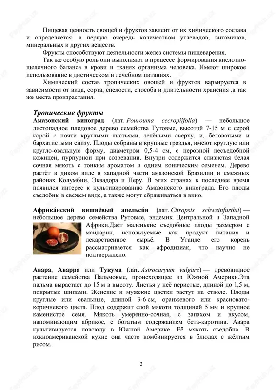 eriki.eta palma virastaet do 15 m v visotu. listya u neyo peristie, dlinoy do 1,5 m, pokritie shipami. jenskie i mujskie tsvetki rastut na stvole. plodi kruglie ili ovalnie, dlinoy 3-6 sm, oranjevogo ili krasnovato- korichnevogo tsveta. plod soderjit sloy myakoti tolshinoy 5 mm i krupnoe kamenistoe semya. myakot umerenno-sochnaya, s zapaxom i vkusom, napominayushim abrikos, s bogatim soderjaniem beta-karotina. avara kultiviruetsya povsyudu v yujnoy amerike. eyo myakot s'edobna. v yujnoamerikanskoy kuxne ona chasto kombiniruetsya v blyudax s jyoltim risom. 2 evterpe (lat. euterpe), ili asai (port. açaí, açaizeiro), ili kapustnaya palma — rod tropicheskix palm, proizrastayushix v yujnoy i tsentralnoy amerike.  rasprastranenie , yujnaya — peru i braziliya.predstaviteli roda — visokie derevya (do 30 i bolee metrov) s tonkimi, gladkimi stvolami. listya slabo-peristie. tsvetki blestyashe-belie, sobrani v kisti. plod — kruglaya, odnosemennaya, tyomno-purpurovaya, pochti chyornaya sochnaya yagoda.naibolee izvestnie vidi — euterpe oleracea mart. i euterpe edulis mart. — …