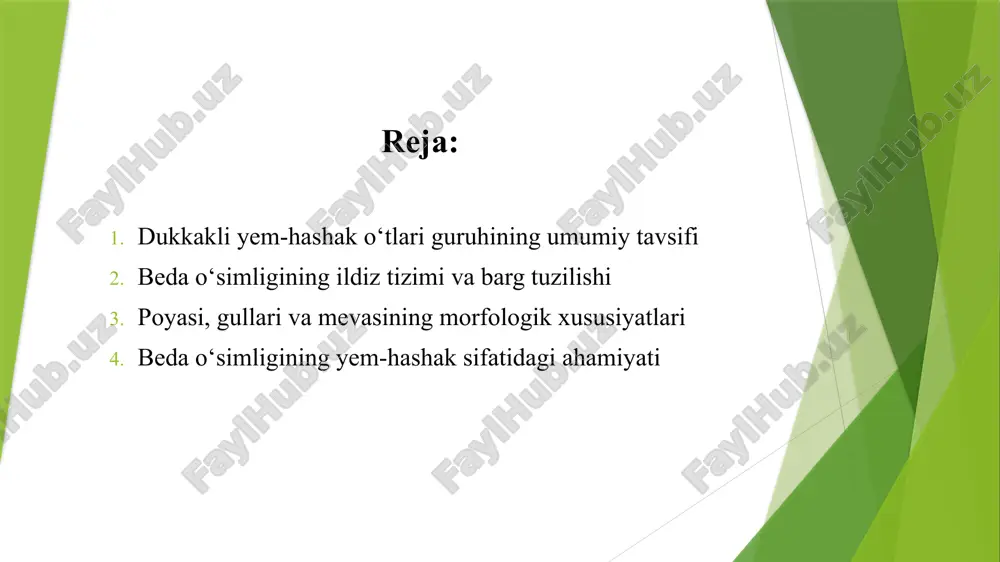 gan bo‘lib, ranglari oq, sariq, binafsha yoki pushti tuslarda uchraydi. mevasi dukkak bo‘lib, ichida urug‘lar joylashadi. urug‘lari yem-xashak, ko‘paytirish va ayrim hollarda oziq-ovqat sifatida ham ishlatiladi. tayorladi: qurbonova marjona beda o‘simligining ildiz tizimi va barg tuzilishi beda ildiz tizimi kuchli rivojlangan bo‘lib, asosan pivot ildiz shaklida chuqur yerga kirib boradi. asosiy ildiz 1,5–2,5 metr chuqurlikkacha yetib borishi mumkin, bu esa o‘simlikni qurg‘oqchilikka chidamli qiladi. asosiy ildizdan ko‘plab yon ildizlar tarqaladi va ular tuproqning yuqori qatlamida keng tarmoqlanadi. ildizlarda tuganak bakteriyalari mavjud bo‘lib, ular havodagi erkin azotni o‘zlashtirib, o‘simlikka kerakli ozuqa shakliga aylantiradi. shu sababli beda ekilgan maydonlar tuproqni azot bilan boyitadi, tuproq unumdorligini oshiradi va undan keyin ekiladigan ekinlar uchun qulay sharoit yaratadi. tayorladi: qurbonova marjona barg tuzilishi ham bedaning muhim morfologik belgilardan biridir. beda bargi murakkab barg bo‘lib, u uch bargchadan tashkil topgan (trifoliat). bargchalari mayda, ellips yoki tuxumsimon shaklda, chetlari mayin tishchali bo‘ladi. barglarning ustki qismi yashil rangda, …