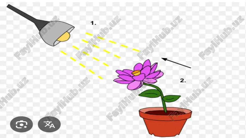 ravilno orientirovatsya v pochve i obespechivaet stabilnoe razvitie. spasibo za vnimanie! image1.jfif image2.jpg image3.jpg image4.jpg