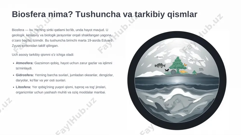 imlik va hayvon turlariga ega. energiya oqimi quyosh energiyasi fotosintez orqali o'simliklarga, keyin esa oziq zanjiri bo'ylab boshqa organizmlarga o'tadi. modda aylanishi suv, uglerod, azot va boshqa elementlar ekosistema ichida doimiy ravishda aylanadi. energiya oqimi va modda aylanishi: hayotning asosiy jarayonlari energiya oqimi barcha ekosistemalarning asosi quyosh energiyasidir. fotosintez orqali yashil o'simliklar (produtsentlar) quyosh energiyasini kimyoviy energiyaga aylantiradi. bu energiya oziq zanjiri orqali iste'molchilarga (konsumentlarga) va parchalovchilarga (redutsentlarga) uzatiladi. modda aylanishi uglerod aylanishi: fotosintez, nafas olish, yonish va chirish orqali uglerod atmosfera, gidrosfera va litosfera o'rtasida harakat qiladi. azot aylanishi: havo azotining tuproqqa singishi, organik moddalar tarkibiga kirishi va qayta havoga chiqishi. suv aylanishi: bug'lanish, kondensatsiya, yog'ingarchilik va oqim orqali suv doimiy aylanadi. biotik va abiotik omillar: tirik organizmlar va atrof-muhitning o'zaro ta'siri biotik omillar tirik organizmlar o'rtasidagi barcha o'zaro ta'sirlar: raqobat (bir xil resurslar uchun) yirtqichlik (ovlash va ovlanish) simbioz (o'zaro manfaatli munosabatlar) parazitizm (bir organizm boshqasidan foyda ko'radi) …