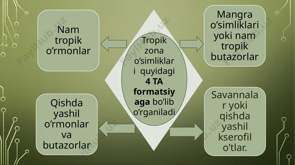 ental iqlimli joylari uchun xarakterli. bu yerlarda goh quruq, goh nam shamollar esib turadi. ular asosan, nam tropik o`rmonlarga o`xshash, ammo qurg`oqchilik faslida (ya'ni yozda) barglarini to`kishi bilan farq qiladi va turli xil o`rmonlar hosil qiladi. qishda yashil o`rmonlarning turlar tarkibi va hayoti yog’in miqdoriga bog`liq. ko`proq yog’ingarchilik bo`ladigan joylarda musson o`rmonlari rivojlangan, kamroq yog’in yog’adigan joylarda esa kserofil savanna o`rmonlari uchraydi. yog’ingarchilik juda kam yog’adigan joylarda tikanli kserofil o`rmonlar va butazorlar tarqalgan. musson o`rmonlar, asosan janubisharqiy osiyodagi selebes orolining janubida, yava orolining sharqida, timor orolida, hindistonning kattagina qismida, hindixitoyda, janubiy afrikada, markaziy va janubiy amerikaning sharqiy qismida, janubiy amerikaning markaziy rayonlarida keng tarqalgan. nam tropik o`rmonlar asosan amazonka daryosi vodiysi va markaziy afrikaning katta maydonlardagina saqlanib qolgan. hindiston, shrilanka, hindixitoy yarim orylida nam tropik o`rmonlar deyarli yo`q qilib yuborilgan. yava, sumatra orollarida esa ularning o`rni dehqonchilik mahsadlarida (banan, maniok, makkajo`xori va boshqa madaniy o`simliklar) foydalanilmoqda. bu joylar bir necha …