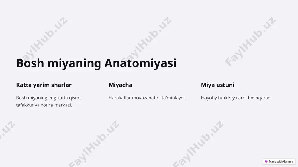 bosh miya va orqa miya: tuzilishi, funktsiyalari va salomatligi - Page 2