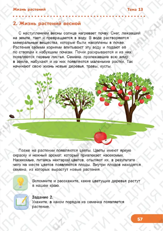 estestvoznanie 3 klass uroki 13-21 - Page 2