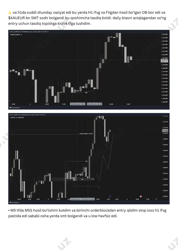 xauusd 05.09.2024 recap - Page 2