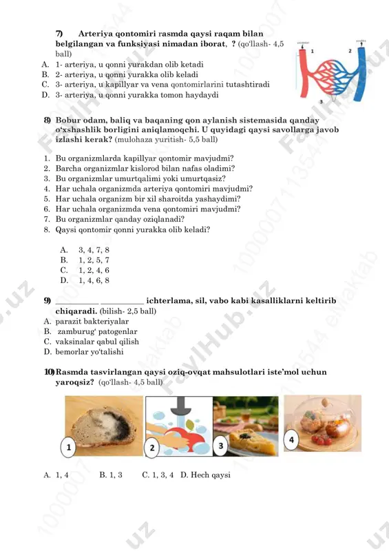 mda qaysi raqam bilan belgilangan va funksiyasi nimadan iborat, ? (qo‘llash- 4,5 ball) a. 1- arteriya, u qonni yurakdan olib ketadi b. 2- arteriya, u qonni yurakka olib keladi c. 3- arteriya, u kapillyar va vena qontomirlarini tutashtiradi d. 3- arteriya, u qonni yurakka tomon haydaydi 8) bobur odam, baliq va baqaning qon aylanish sistemasida qanday o‘xshashlik borligini aniqlamoqchi. u quyidagi qaysi savollarga javob izlashi kerak? (mulohaza yuritish- 5,5 ball) 1. bu organizmlarda kapillyar qontomir mavjudmi? 2. barcha organizmlar kislorod bilan nafas oladimi? 3. bu organizmlar umurtqalimi yoki umurtqasiz? 4. har uchala organizmda arteriya qontomiri mavjudmi? 5. har uchala organizm bir xil sharoitda yashaydimi? 6. har uchala organizmda vena qontomiri mavjudmi? 7. bu organizmlar qanday oziqlanadi? 8. qaysi qontomir qonni yurakka olib keladi? a. 3, 4, 7, 8 b. 1, 2, 5, 7 c. 1, 2, 4, 6 d. 1, 4, 6, 8 9) ___________ ___________ ichterlama, sil, vabo kabi …