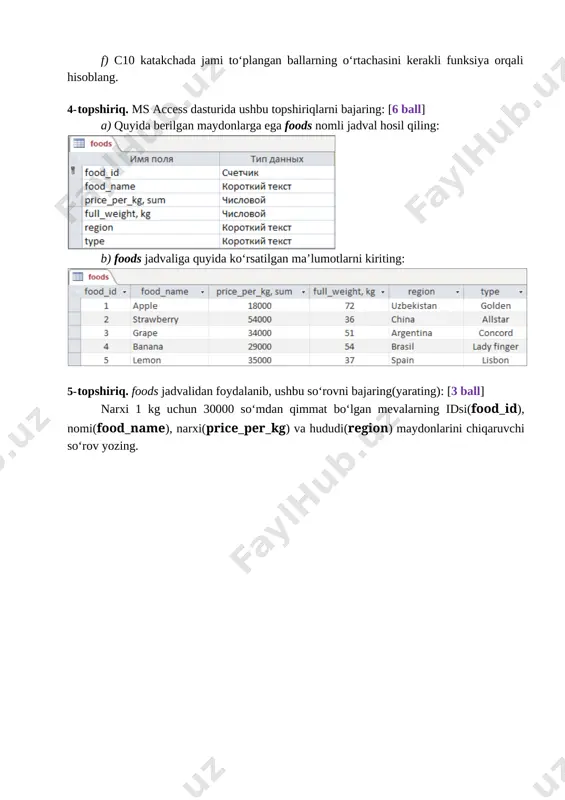 6_sinf_informatika_2_bsb_1_variant_@summativ_formativ_baholash - Page 2