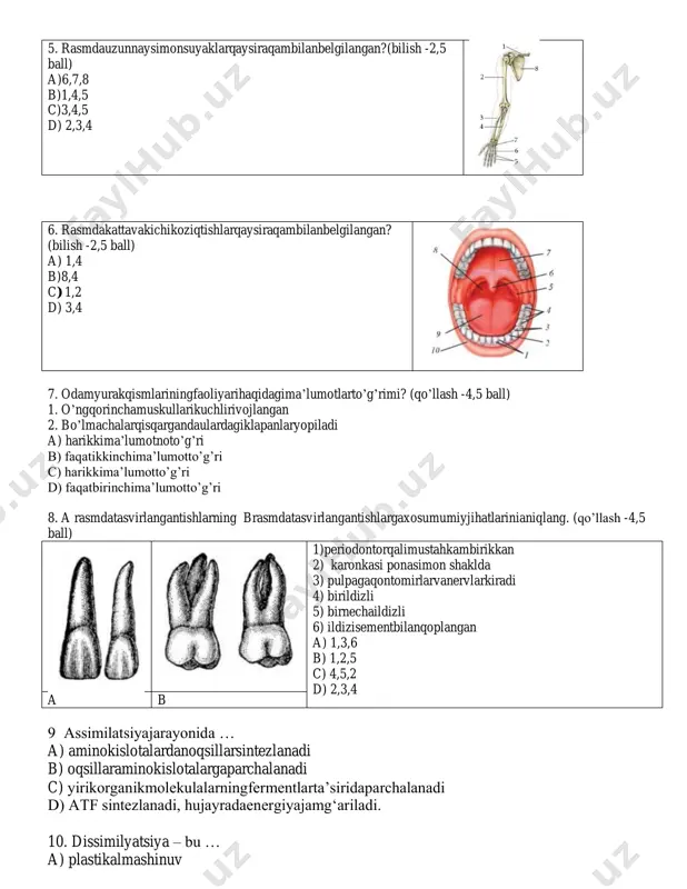 piladi a) harikkima’lumotnoto’g’ri b) faqatikkinchima’lumotto’g’ri c) harikkima’lumotto’g’ri d) faqatbirinchima’lumotto’g’ri 8. a rasmdatasvirlangantishlarning brasmdatasvirlangantishlargaxosumumiyjihatlarinianiqlang. (qo’llash -4,5 ball) 1)periodontorqalimustahkambirikkan 2) karonkasi ponasimon shaklda 3) pulpagaqontomirlarvanervlarkiradi 4) birildizli 5) birnechaildizli 6) ildizisementbilanqoplangan a) 1,3,6 b) 1,2,5 c) 4,5,2 d) 2,3,4 a b 9 assimilatsiyajarayonida … a) aminokislotalardanoqsillarsintezlanadi b) oqsillaraminokislotalargaparchalanadi c) yirikorganikmolekulalarningfermentlarta’siridaparchalanadi d) atf sintezlanadi, hujayradaenergiyajamg‘ariladi. 10. dissimilyatsiya – bu … a) plastikalmashinuv b) anabolizm c) energetikalmashinuv d) biosintezreaksiyalari 11. teri ultrabinafshanurlarta’sirida … vitamininisintezlaydi. a) a b) d c) b d) c 12. noto‘g‘ri fikrni aniqlang (bilish -2,5 ball). a. xotira - shaxsiy tajribaning to‘planib borishi, esda saqlab qolinishi va qayta hosil qilirushidan iborat. b. aql-idrok bosh miyaning stvol qismi faoliyati bilan bog‘liq c. shartli reflekslarning hosil bo‘lishi va tormozlanishi odam bilan hayvonlarda o‘xshash kechadi d. aql-idrok hodisalar o‘rtasidagi bog‘lanish qonuniyatlaridan yangi sharoitda foydalana olish qobiliyatidir 13. ko’z shifokori bemorda rasmda tasvirlangan holatni aniqladi. shifokor bemorga qanday linzali ko’zoynak taqishni tavsiya etdi? (bilish -2,5 …