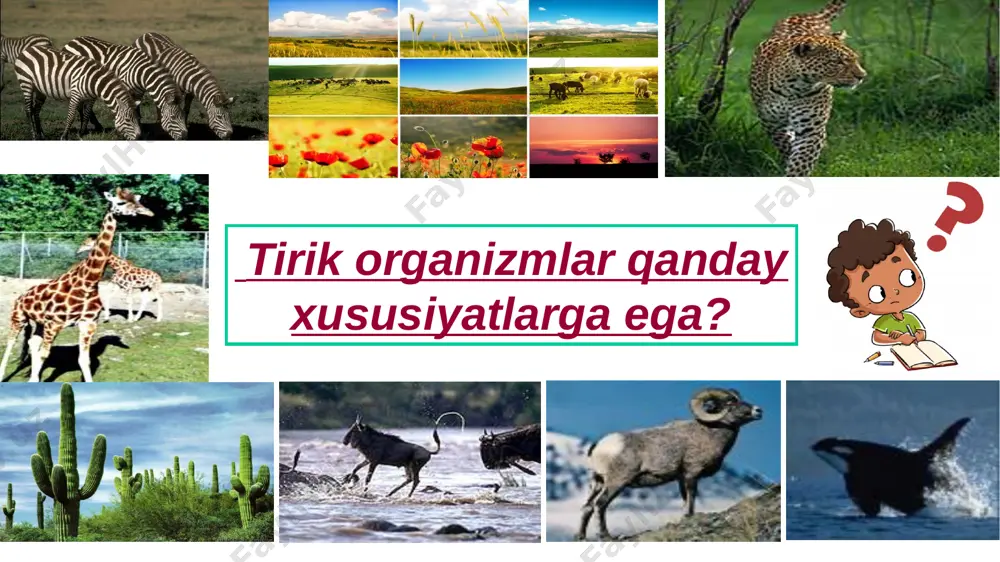 y usul tarixiy usul hayotiy hodisalarni o‘rganishning asosiga aylangan. mazkur usul yordamida organik dunyoning evolutsion ta’limoti yaratildi. tarixiy usul tajriba usuli biologiyada o‘rta asrlarda (abu ali ibn sino) boshlangan bo‘lsa, fizika va kimyo fanlarining ravnaqi tufayli keng qo‘llanila boshlandi. tajriba eksperimental yoki tajriba usuli bilan organizmlardagi voqea-hodisalar boshqa usullarga nisbatan chuqur o‘rganiladi. tajriba bugungi kunda yuqorida berilgan usullar biologiyaning tegishli sohalarida foydalanib kelinmoqda va ular bir-birini to‘ldiradi. biologiya umumbiologik qonuniyatlardan xalq xo‘jaligining turli tarmoqlarida xilma-xil muammolar yechimini topishda keng foydalaniladi. biologiyaning inson hayotidagi roli biologiyaning inson hayotidagi roli aholi sonini ortishi aholini oziq-ovqat va kiyim-kechakka bo‘lgan ehtiyojini ortishiga sabab bo‘lib boradi. bu borada o‘simliklar, mikroorganizmlar, hayvonlarning yuqori mahsuldor shtammlari, navlari va zotlarini yaratish katta ahamiyat kasb etadi. biologiyaning inson hayotidagi roli inson o‘simliklarning tuzilishi va xususiyatlarini yaxshi bilsa, mo‘l hosil oladi, yaxshi daromadga ega bo‘ladi. chorvachilik chorvachilikda ham hayvonlarni qanday boqishni bilsa, qo‘y va mollardan foyda olishi mumkin. redi tajribasi …