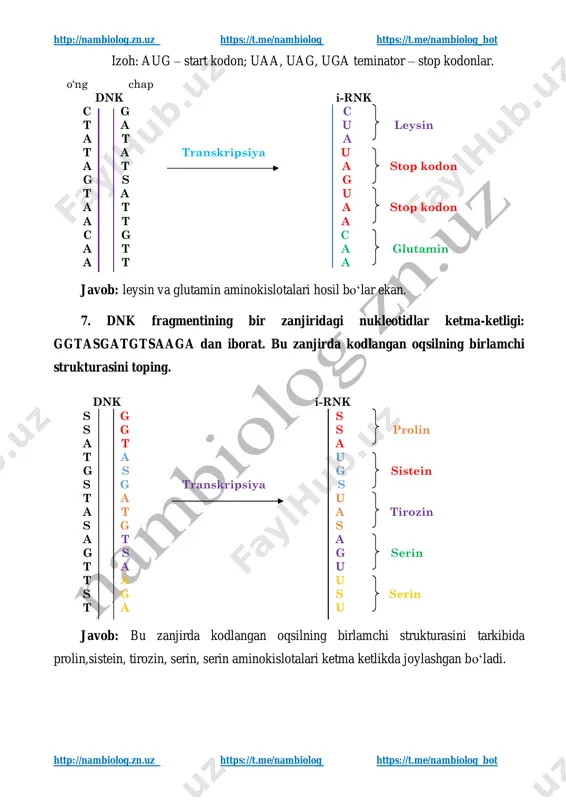 n aminokislotalari ketma ketlikda joylashgan bo‘ladi. http://nambiolog.zn.uz/ https://t.me/nambiolog https://t.me/nambiolog http://nambiolog.zn.uz/ https://t.me/nambiolog https://t.me/nambiolog http://nambiolog.zn.uz https://t.me/nambiolog https://t.me/nambiolog_bot http://nambiolog.zn.uz https://t.me/nambiolog https://t.me/nambiolog_bot 8. dissimilyatsiya jarayonida 2,5 molekula glukoza to‘liq parchalandi. sintezlangan atf va hosil bo‘lgan karbonat angidrid gazining miqdorini toping. yechilishi: hujayradagi energetik almashinuv reaksiyalarining yig‘indisi quyidagicha: c6h12o6 + 6o2 + 38adf + 38h3po4 → 6co2 + 44h2o + 38atf demak, 180 g yani 1 mol glukozaning to‘liq oksidlanishi natijasida ajraladigan 2800kj energiyaning 1520 kj molekulasida atf to‘planadi. 1mol glukozadan ————— 38 atf ————— 6 co2 2,5 ————— x = 95 atf ———— y =15 co2 javob: 2,5 mol glukozaning parchalanishidan hosil bo‘lgan atf miqdori 95 mol va karbanant angidritni miqdori esa 15 mol ekan. 9. no‘xat o‘simligi hujayralarida yorug‘lik energiyasi va glukozaning to‘liq parchalanishidan 2356 molekula atf sintezlanadi. glyukoza parchalanishining ikkinchi bosqichida o‘simlik hujayrasida sintezlangan atfda to‘plangan energiya miqdorini (kj) aniqlang. yechilishi: izoh: masala shartiga yaxshilab etibor bersak, bizdan glukaza parchalanishining ikkinchi bosqichida …